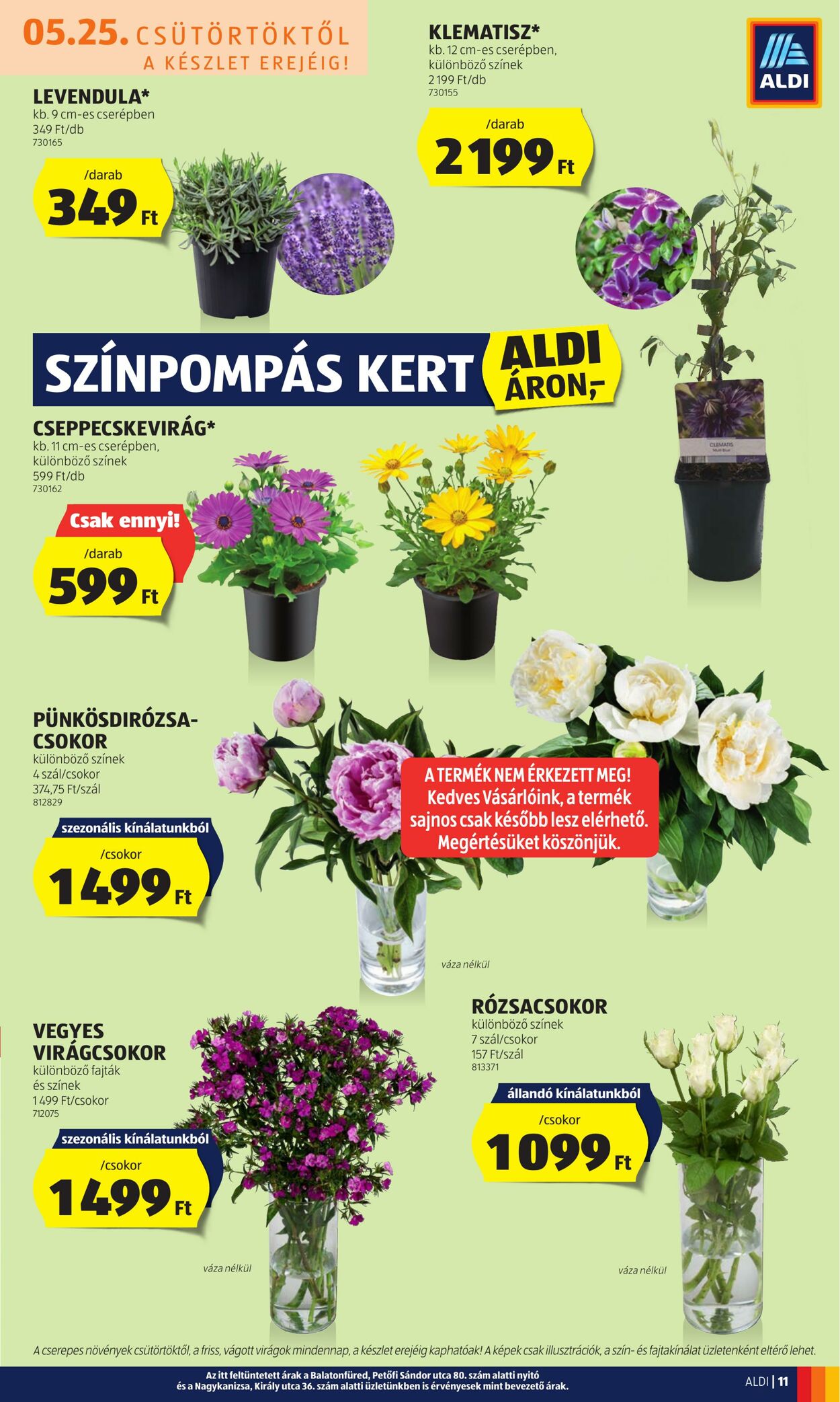 Flyer Aldi 25.05.2023 - 31.05.2023