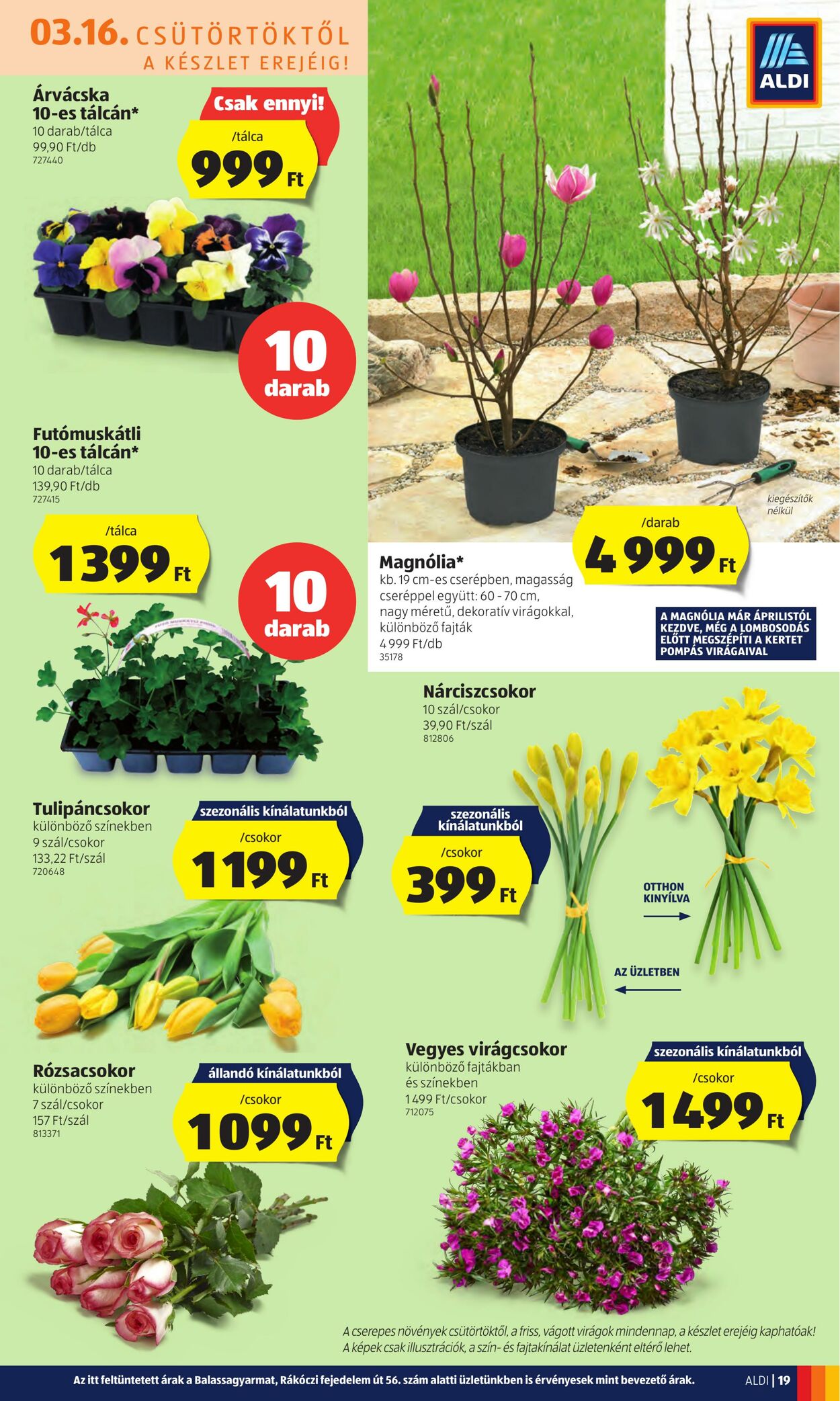 Flyer Aldi 16.03.2023 - 22.03.2023