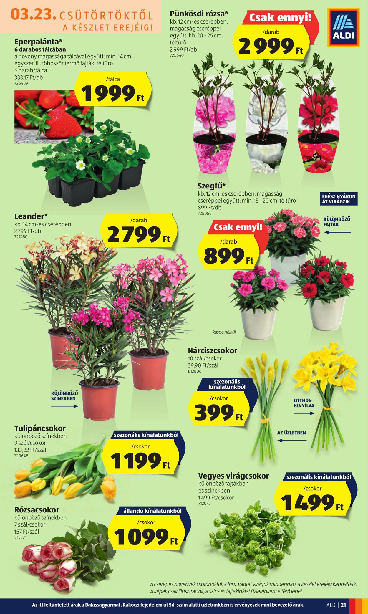 Flyer Aldi 23.03.2023 - 29.03.2023