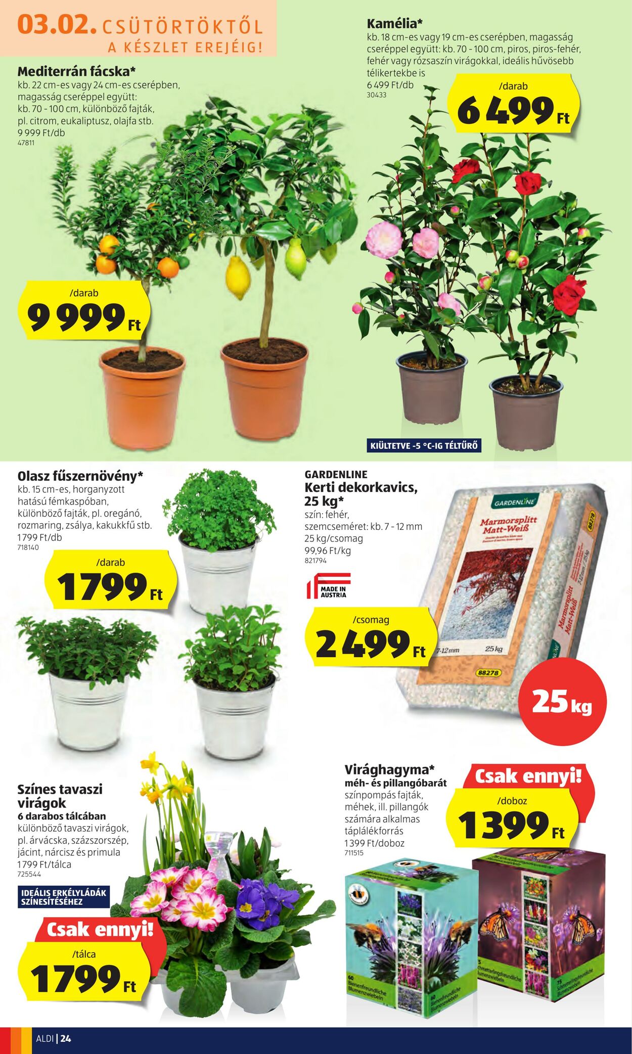 Flyer Aldi 02.03.2023 - 08.03.2023