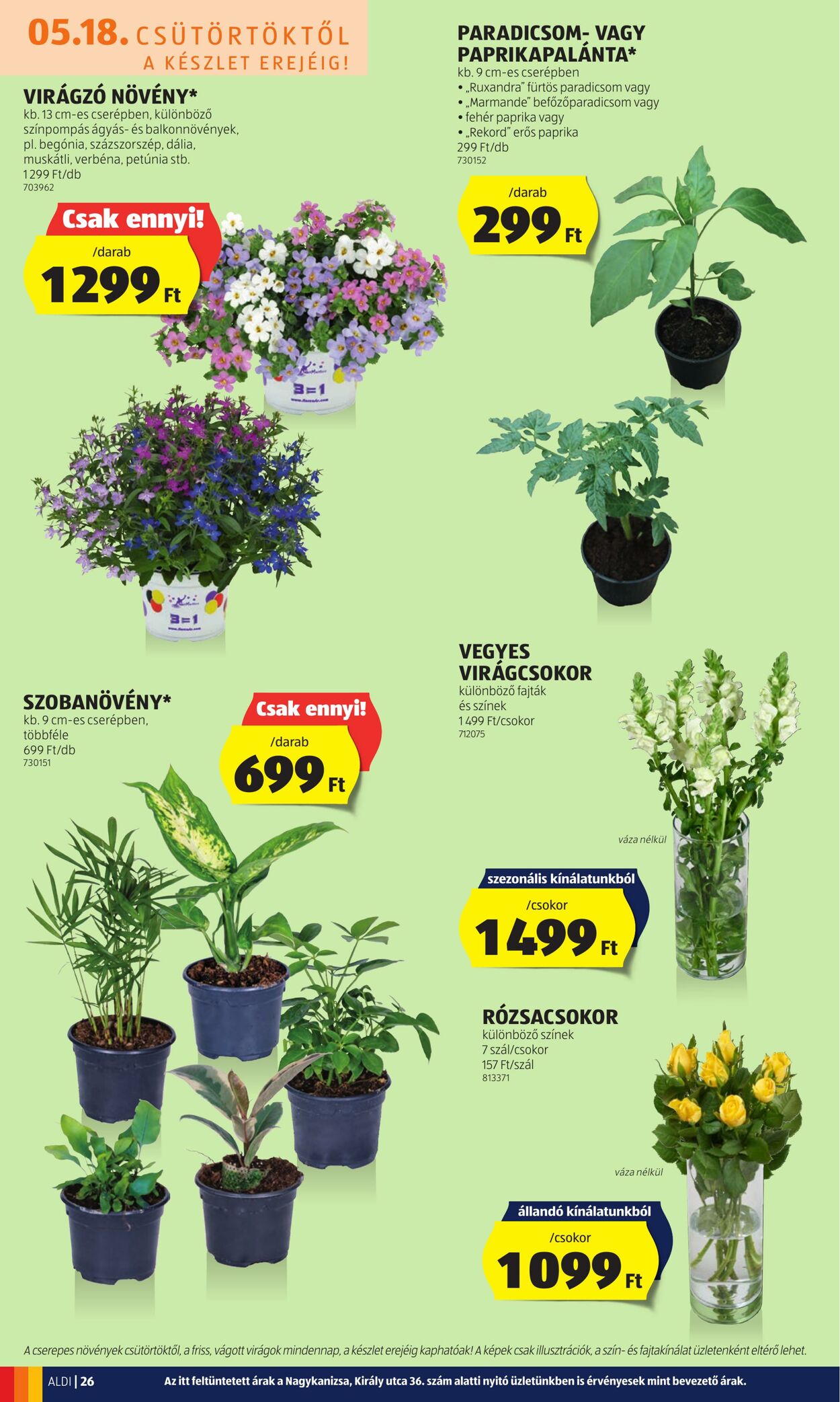 Flyer Aldi 18.05.2023 - 24.05.2023