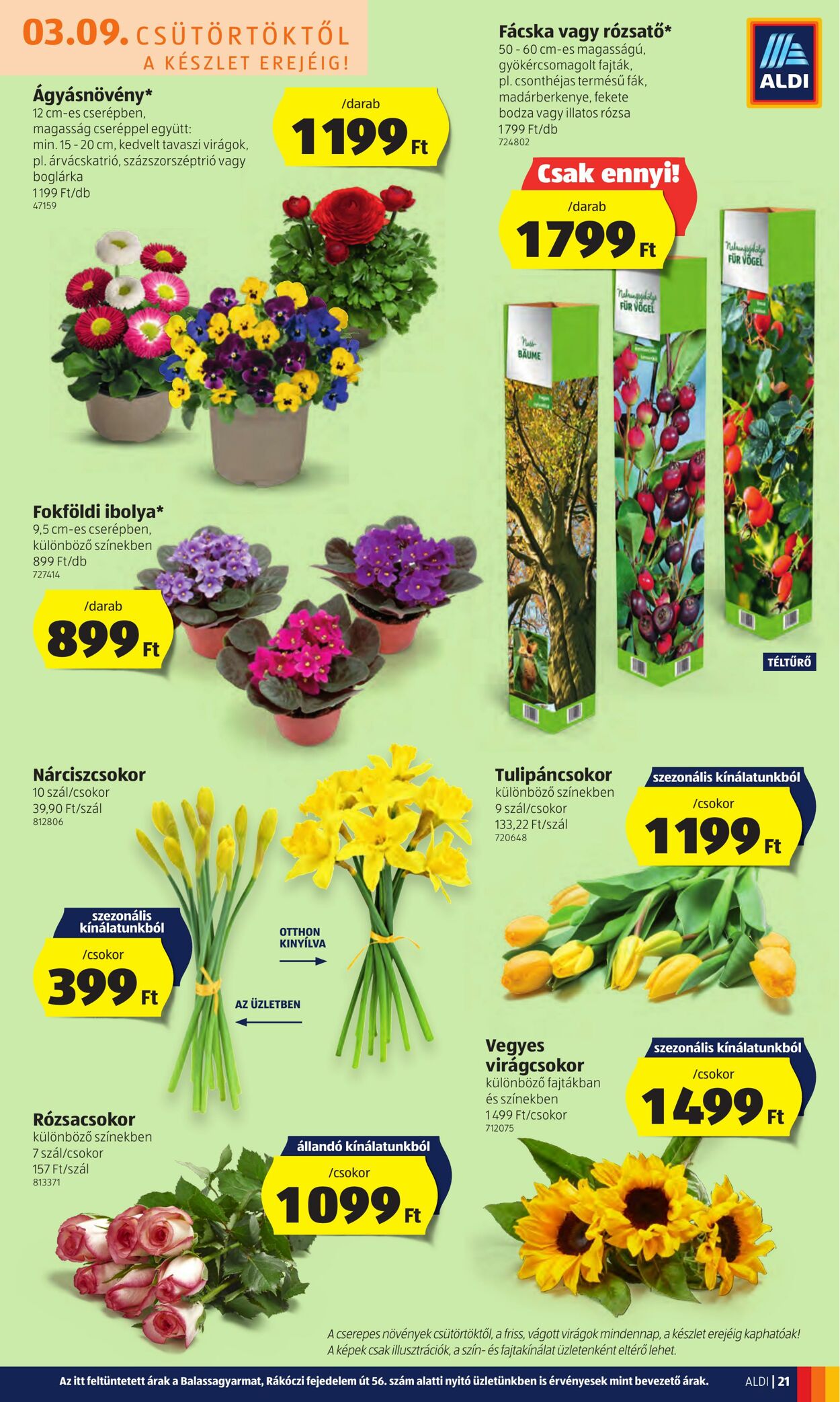 Flyer Aldi 09.03.2023 - 14.03.2023