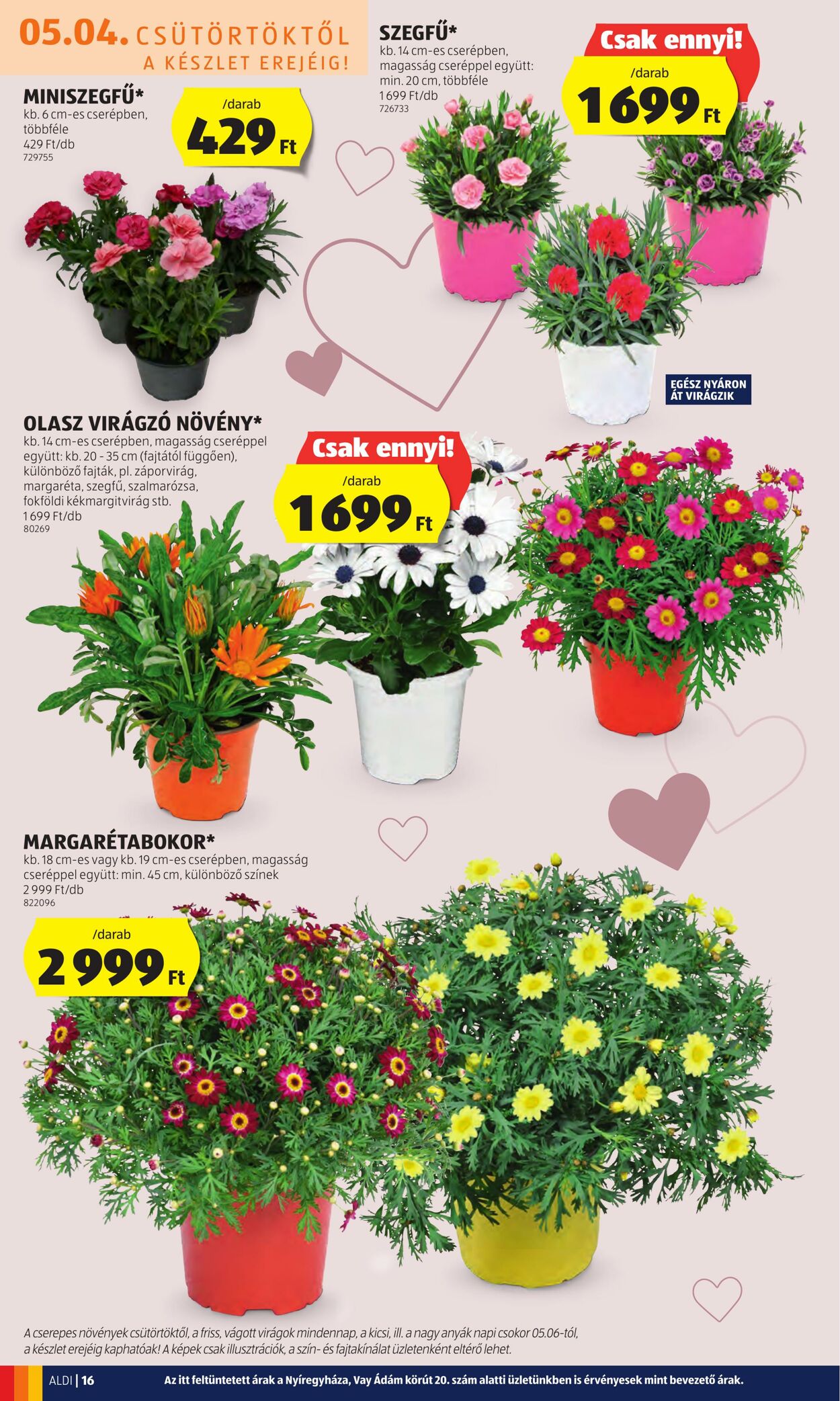 Flyer Aldi 04.05.2023 - 10.05.2023