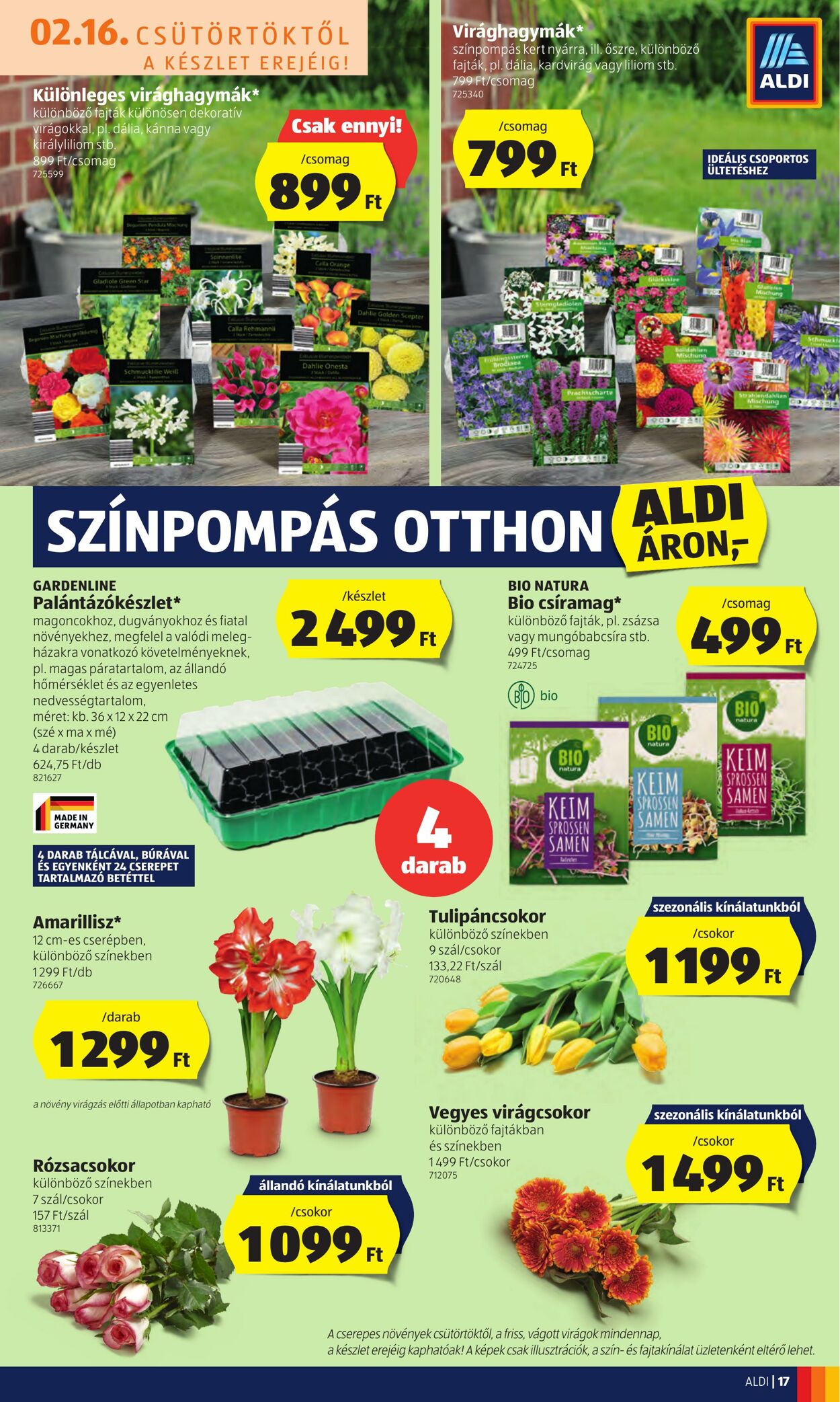 Flyer Aldi 16.02.2023 - 22.02.2023