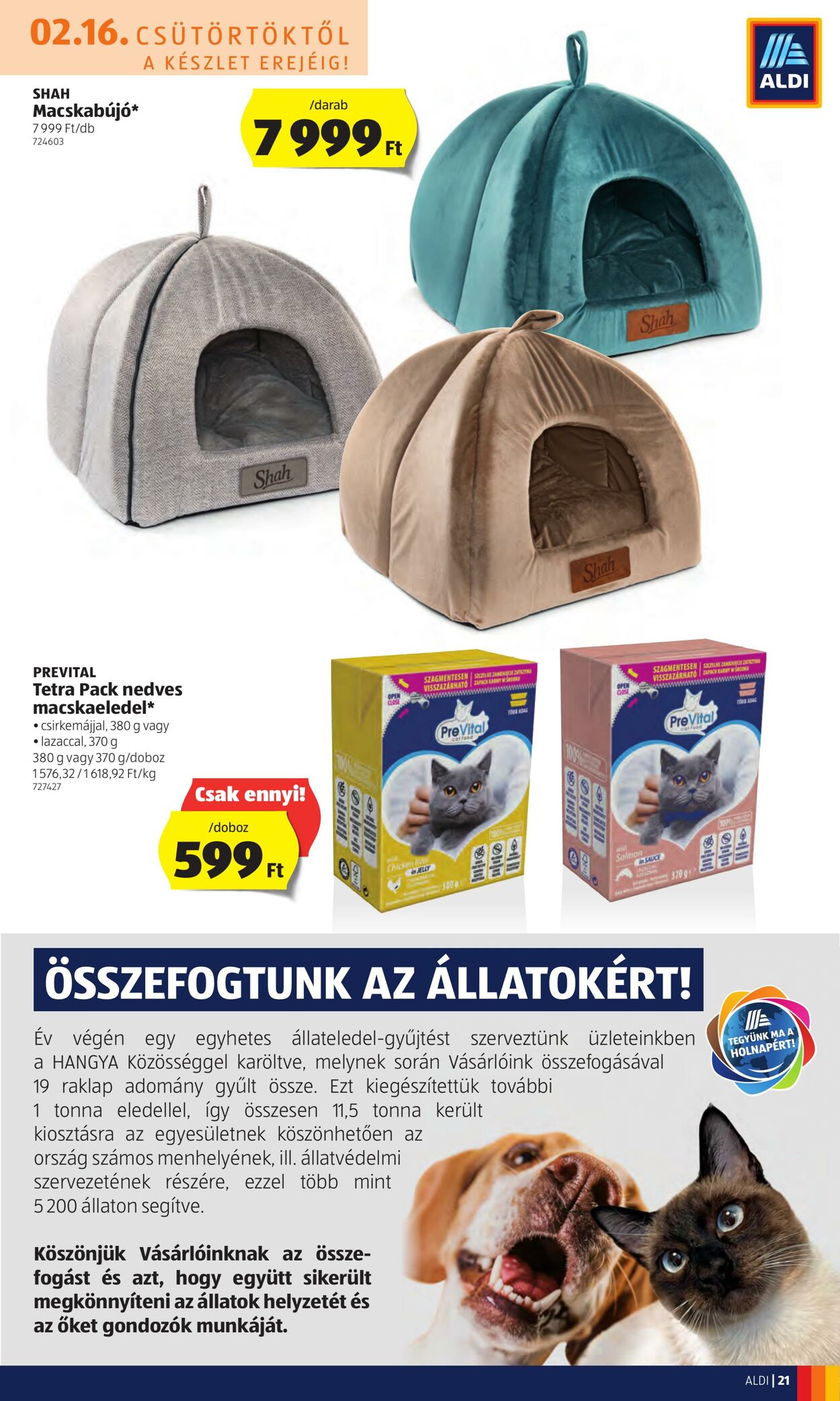 Flyer Aldi 16.02.2023 - 22.02.2023