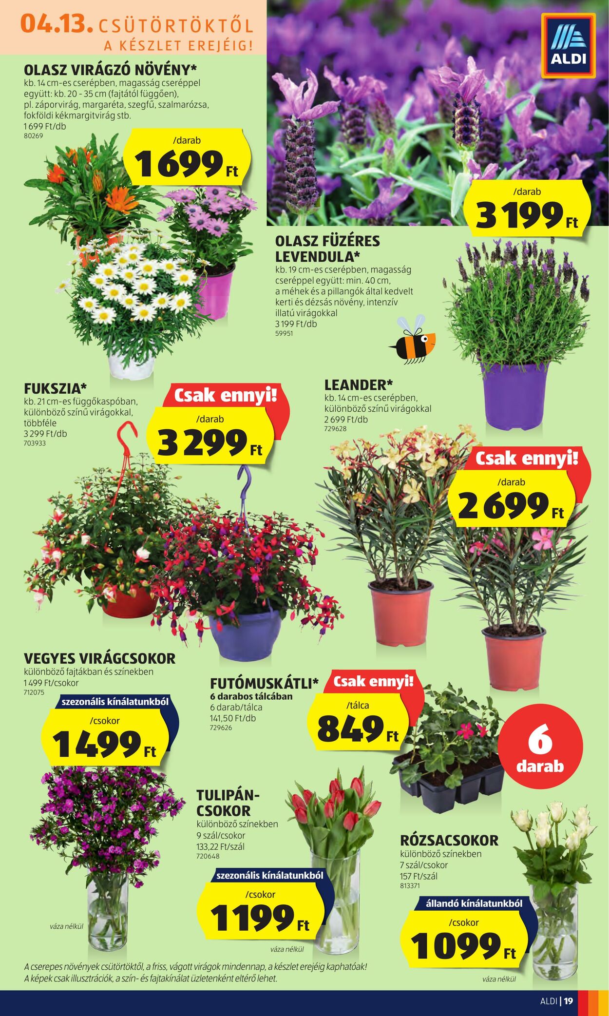 Flyer Aldi 13.04.2023 - 19.04.2023