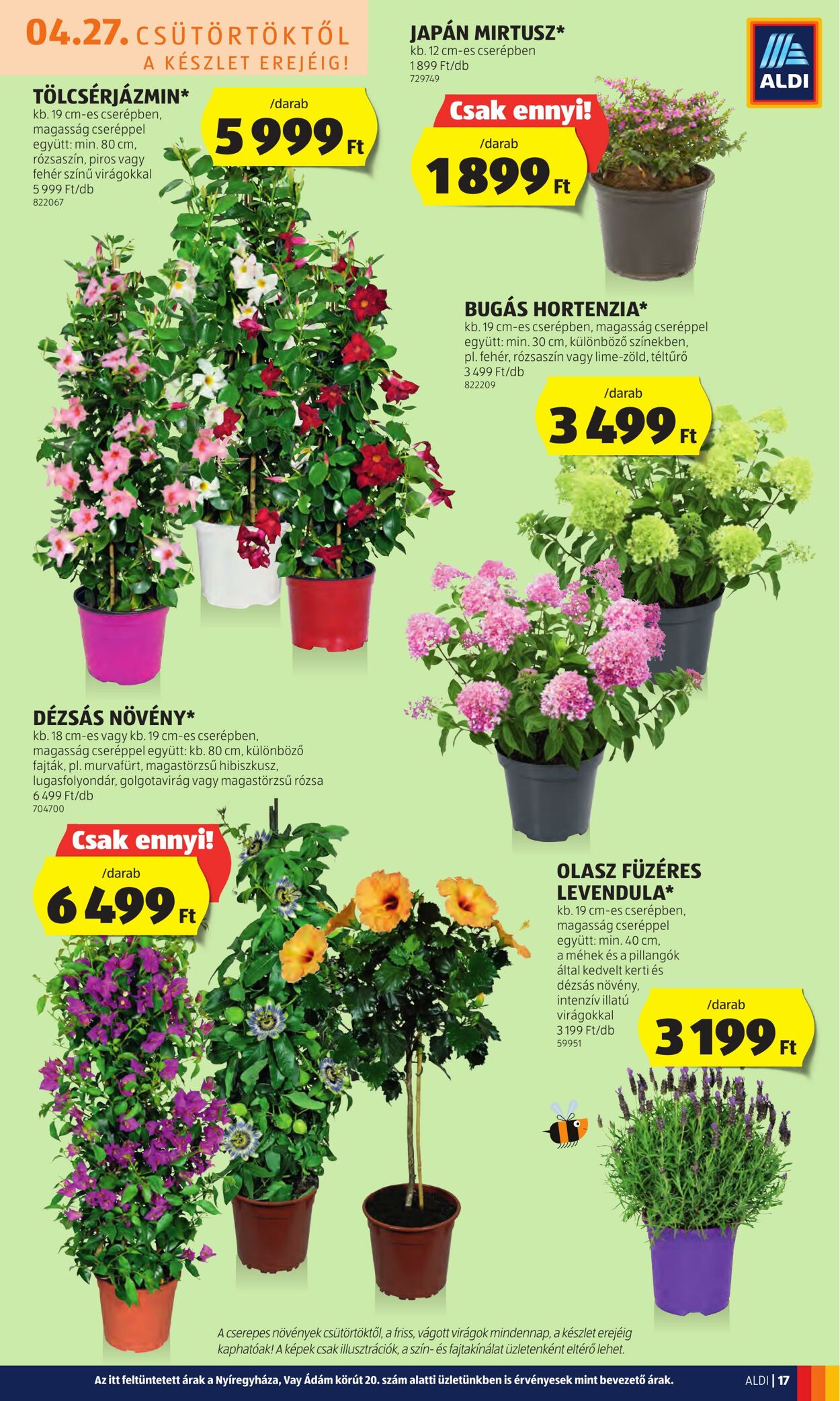 Flyer Aldi 27.04.2023 - 03.05.2023