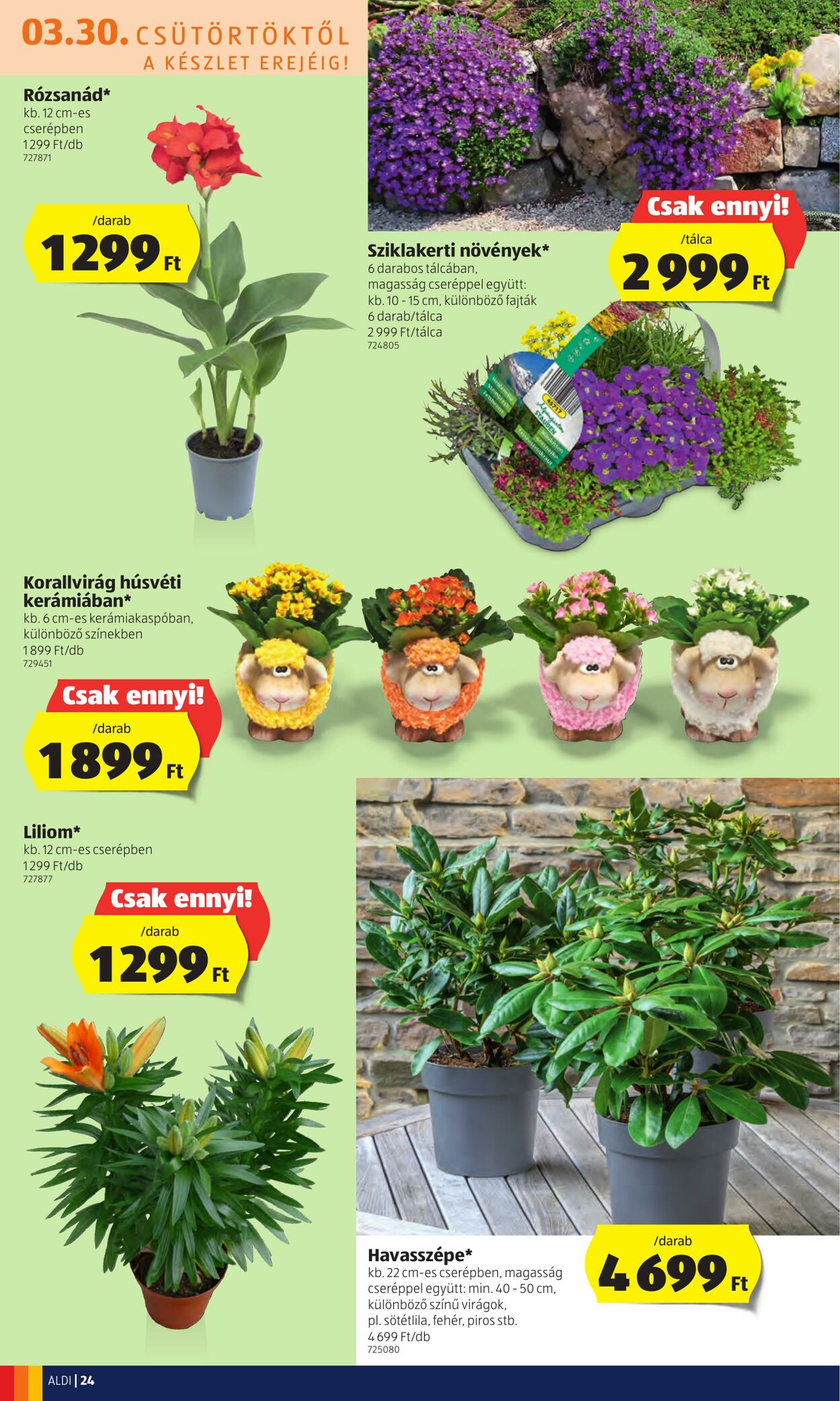 Flyer Aldi 30.03.2023 - 08.04.2023