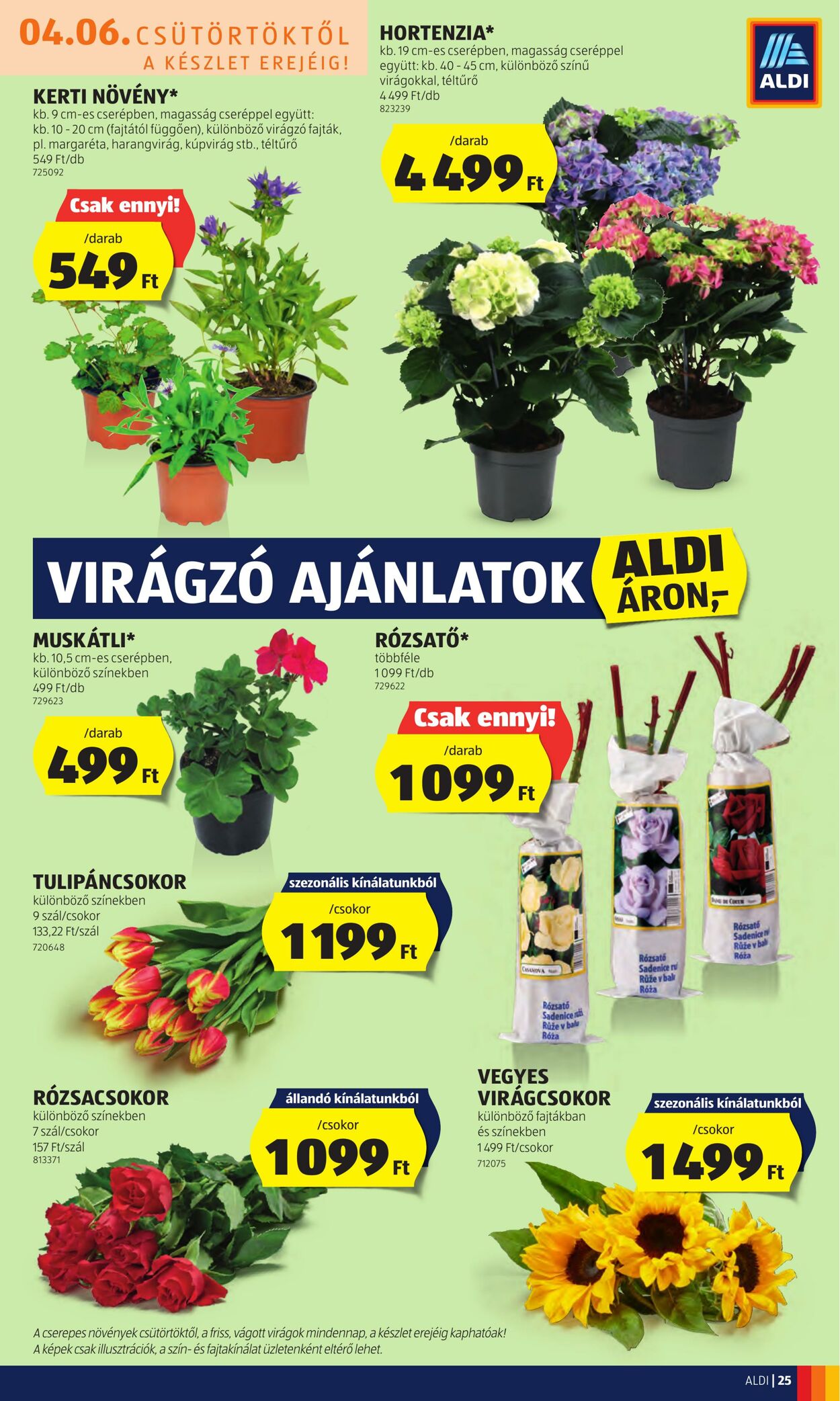 Flyer Aldi 06.04.2023 - 12.04.2023