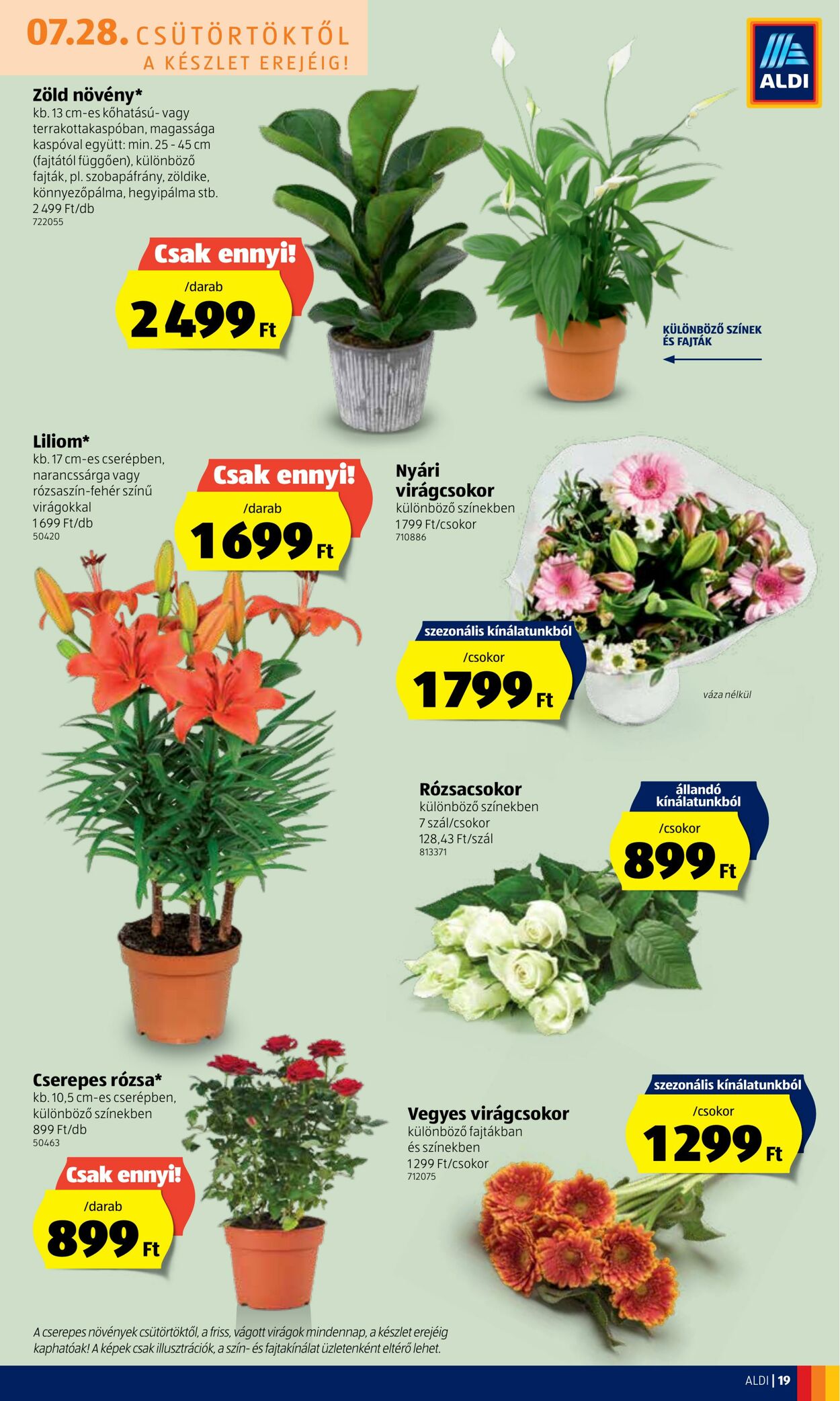 Flyer Aldi 28.07.2022 - 03.08.2022