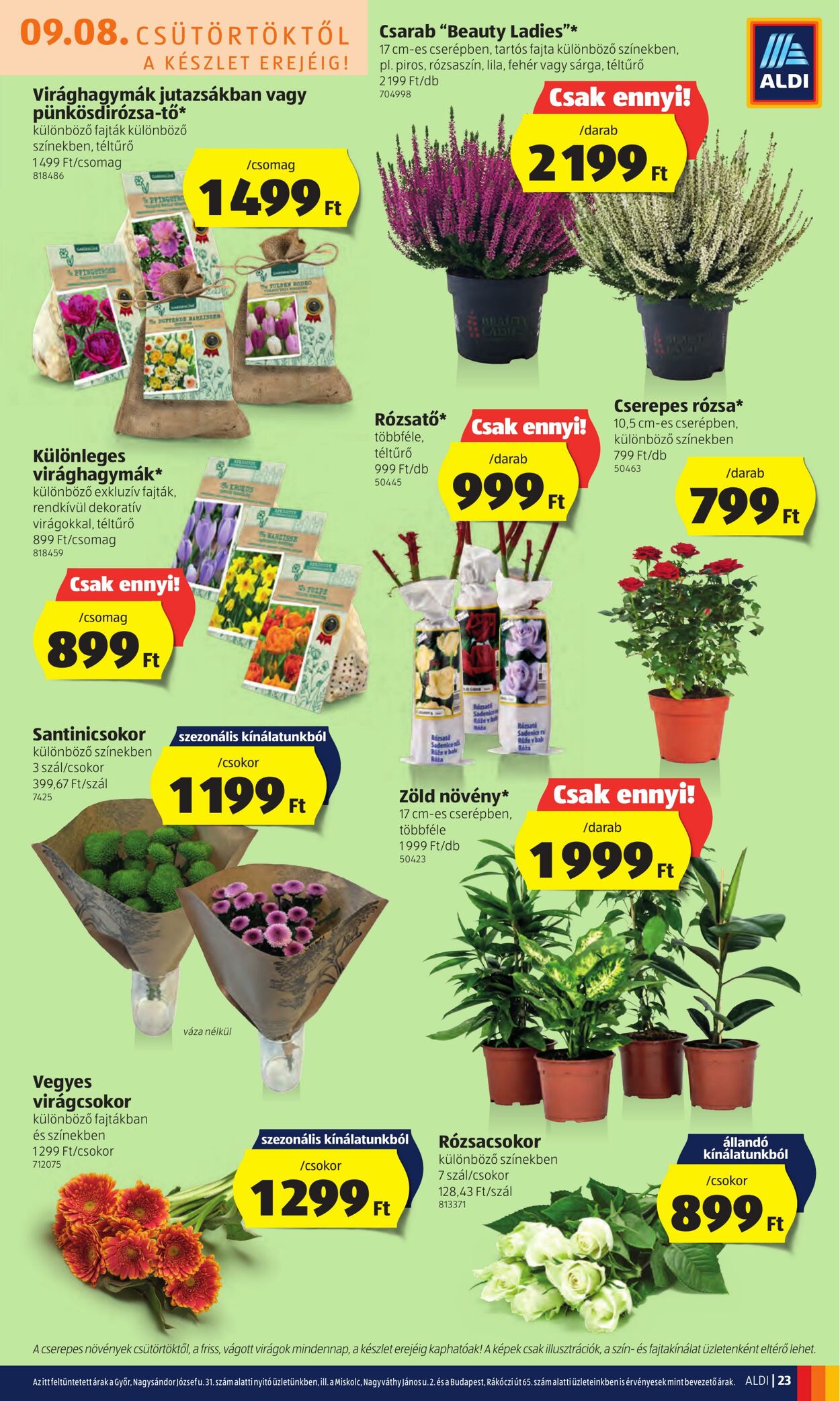 Flyer Aldi 08.09.2022 - 14.09.2022