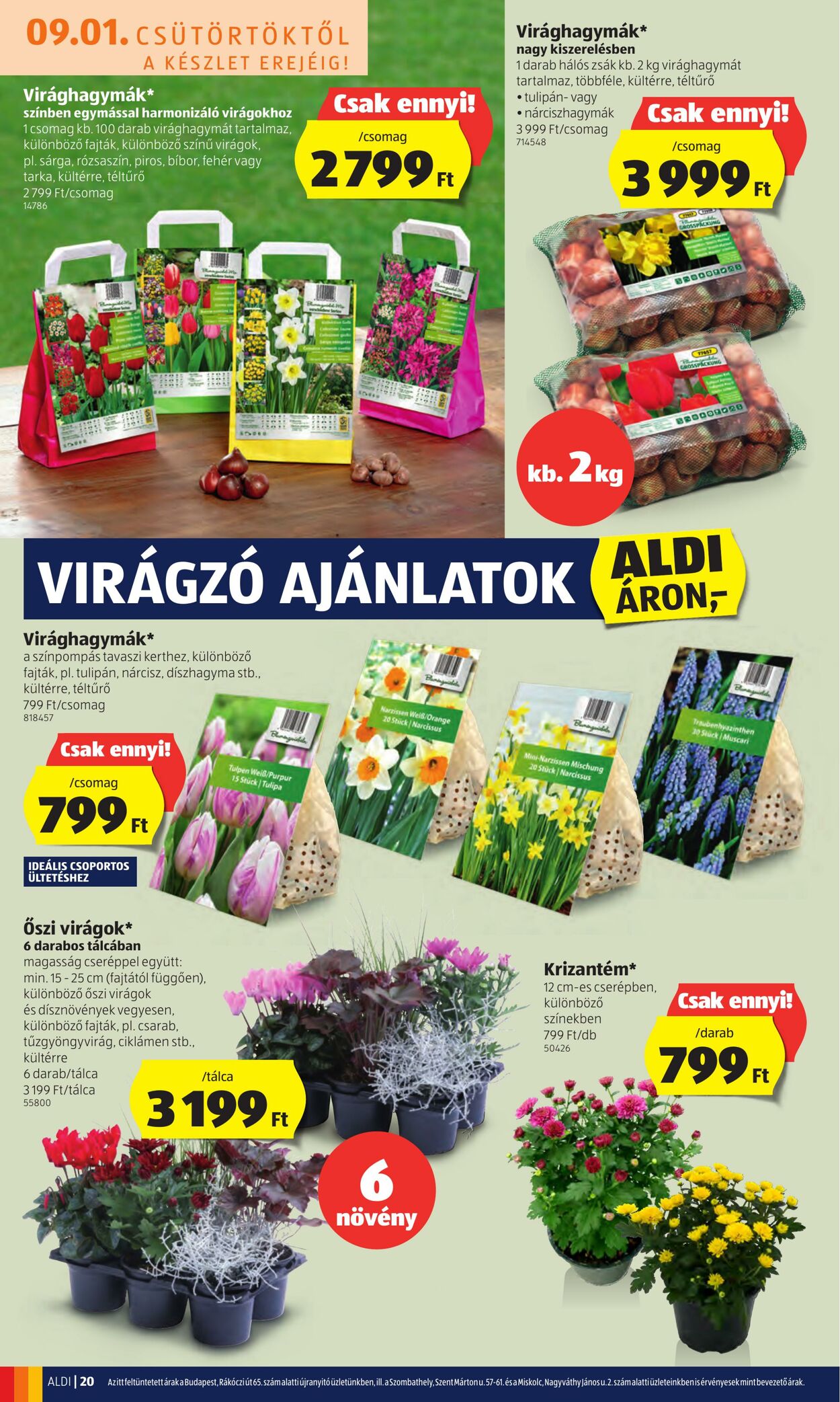 Flyer Aldi 01.09.2022 - 07.09.2022