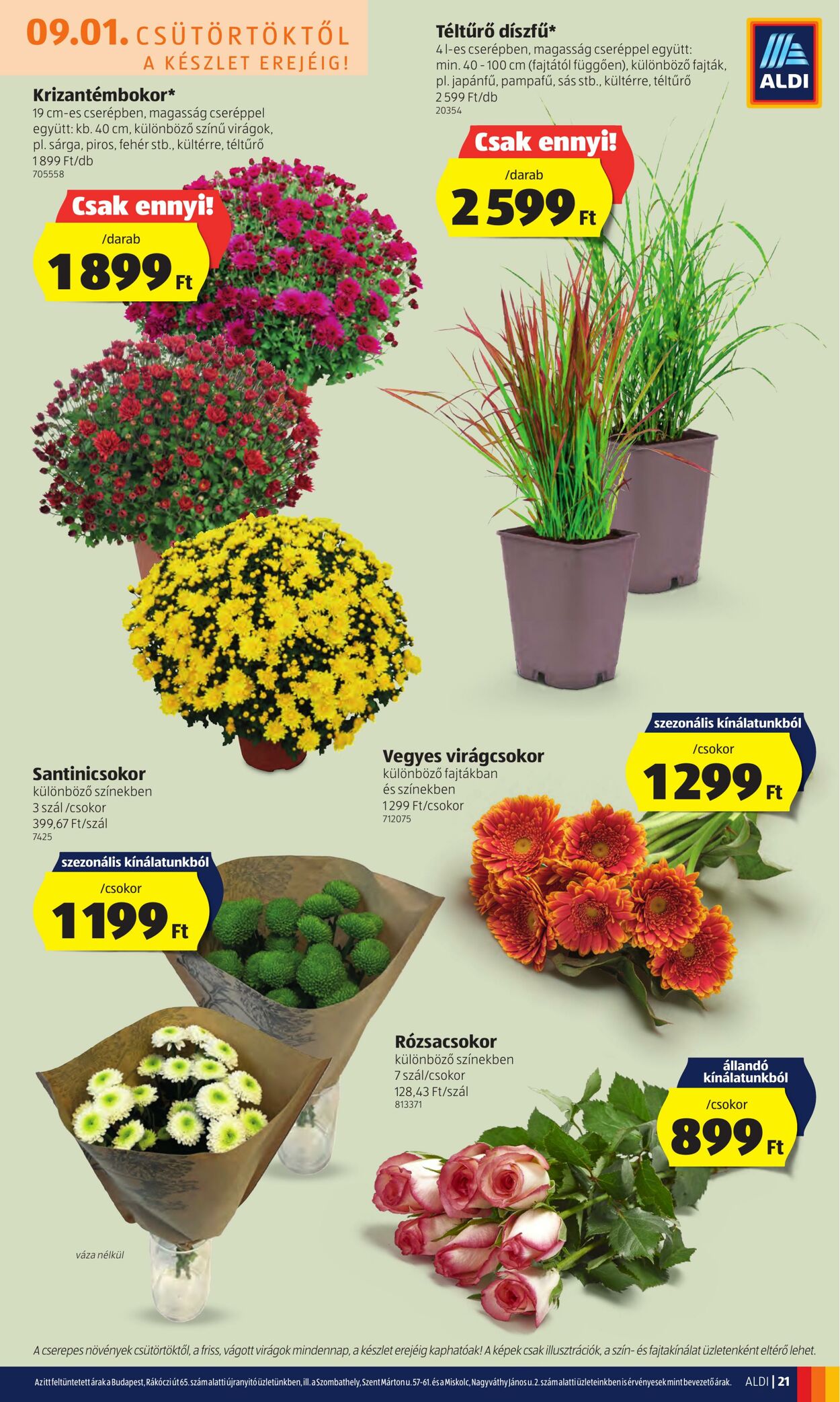 Flyer Aldi 01.09.2022 - 07.09.2022