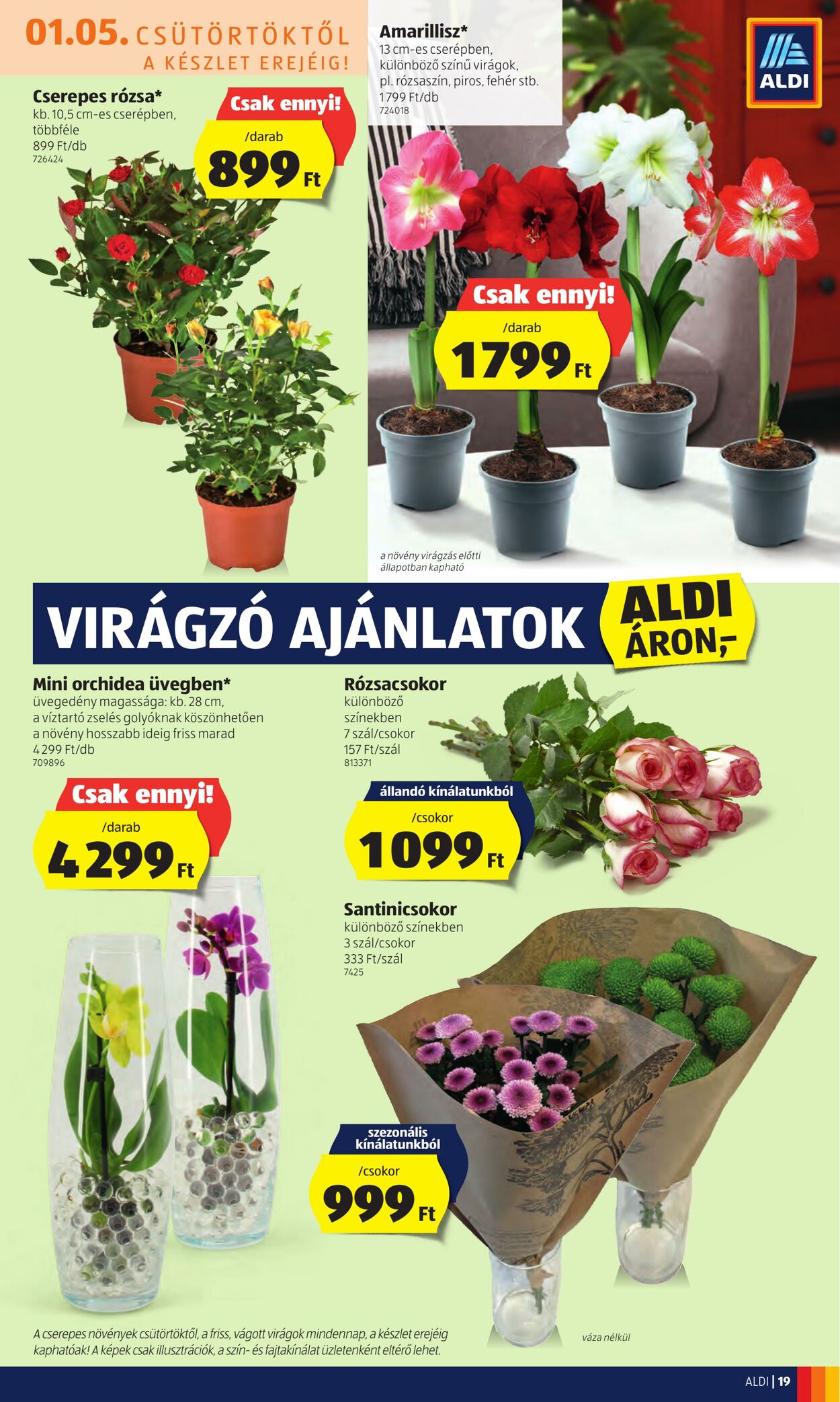 Flyer Aldi 05.01.2023 - 11.01.2023