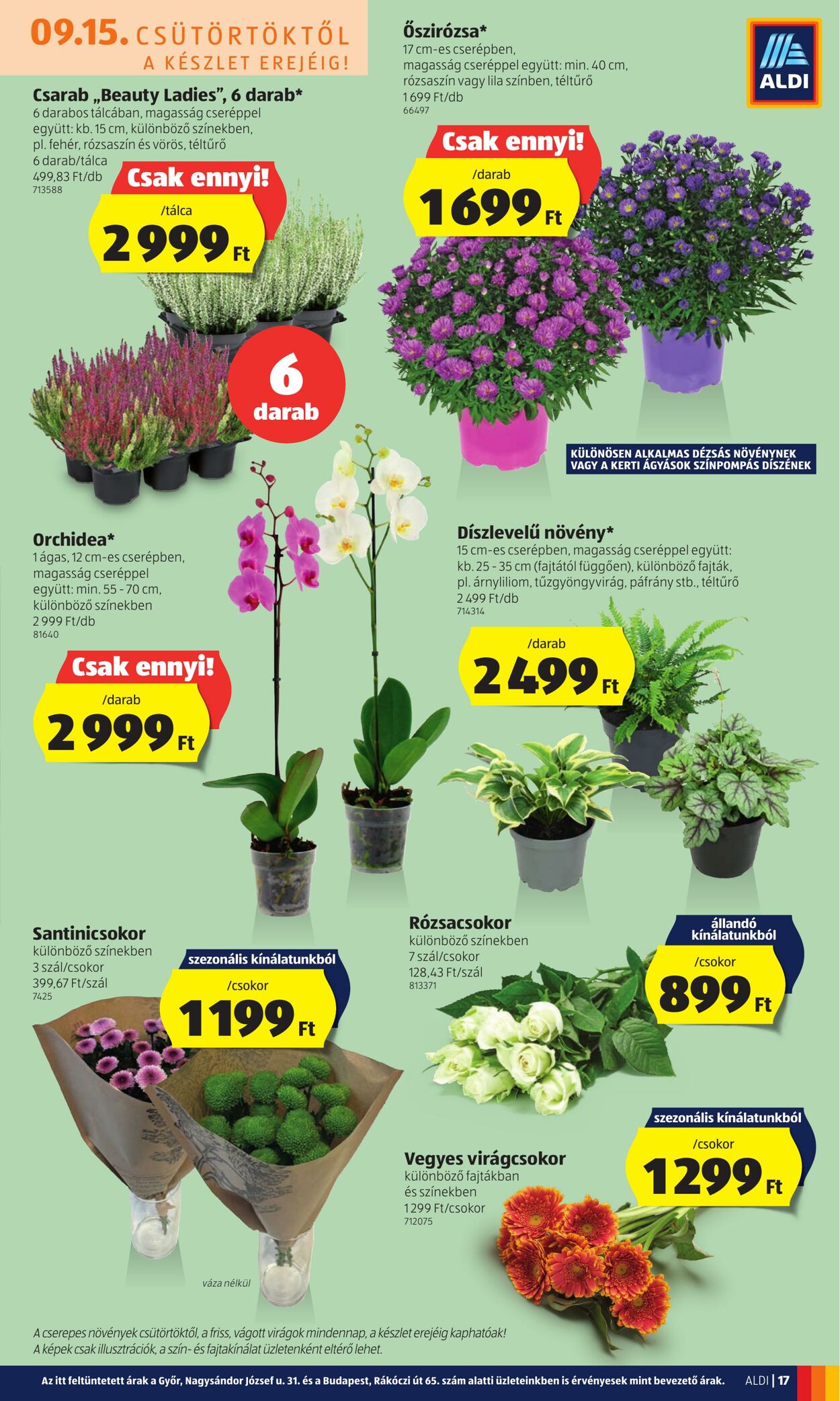 Flyer Aldi 15.09.2022 - 21.09.2022