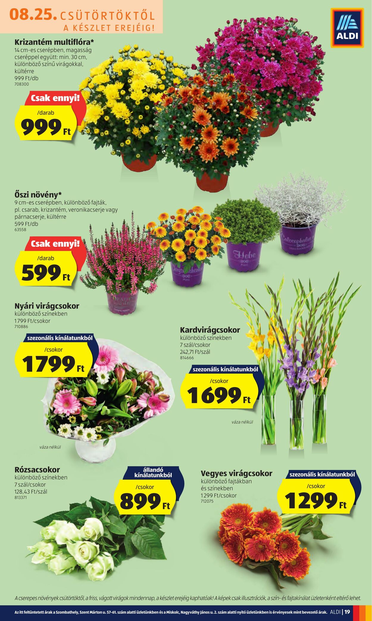 Flyer Aldi 25.08.2022 - 31.08.2022