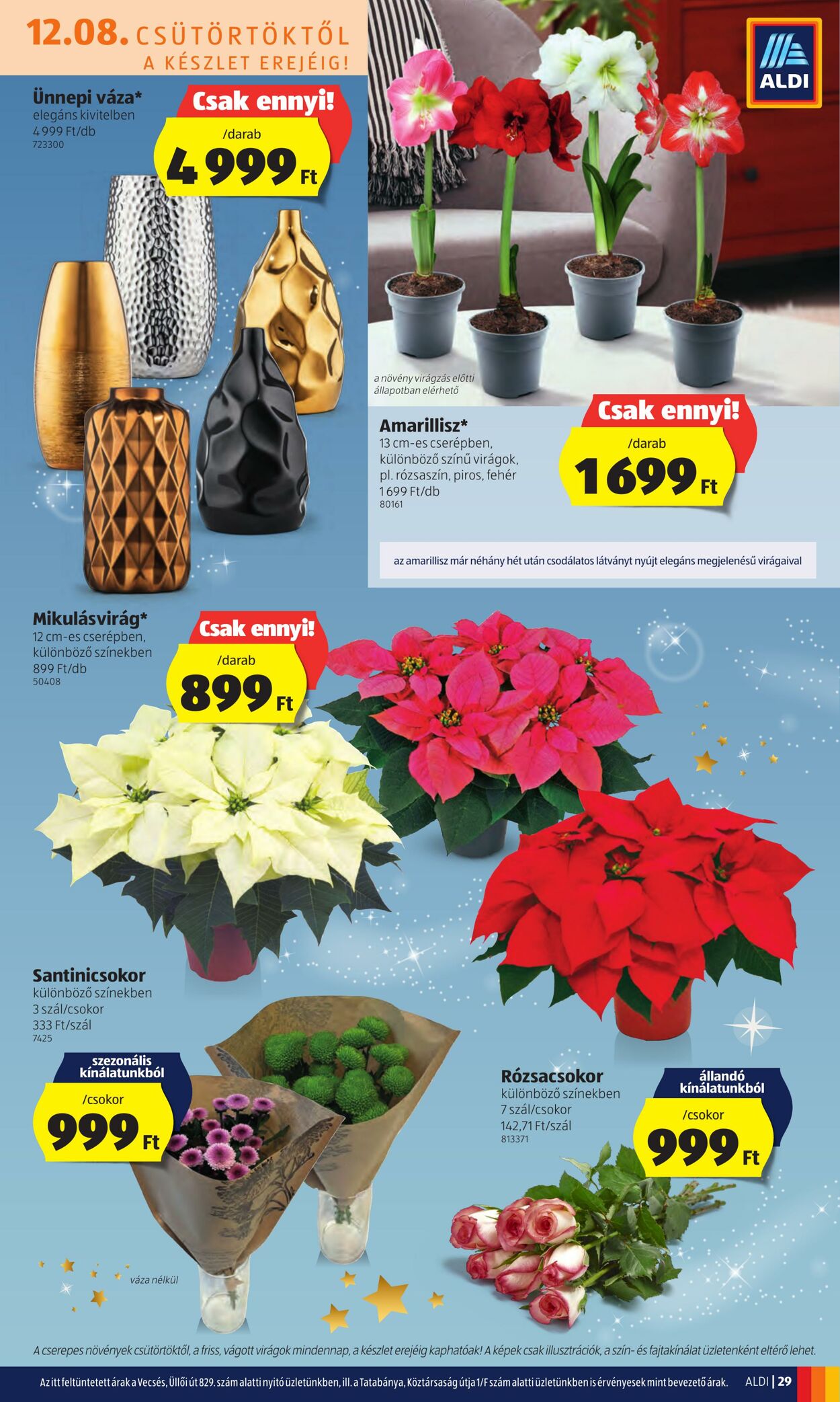 Flyer Aldi 08.12.2022 - 14.12.2022