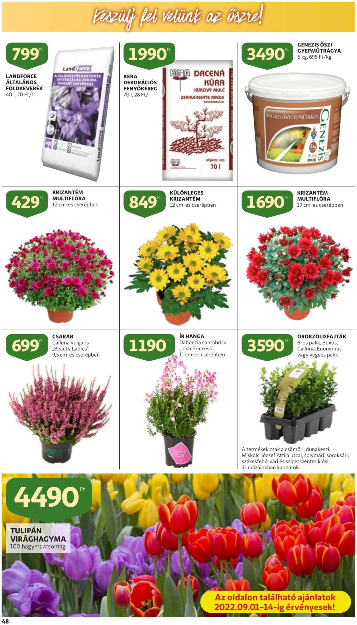 Flyer Auchan 01.09.2022 - 07.09.2022