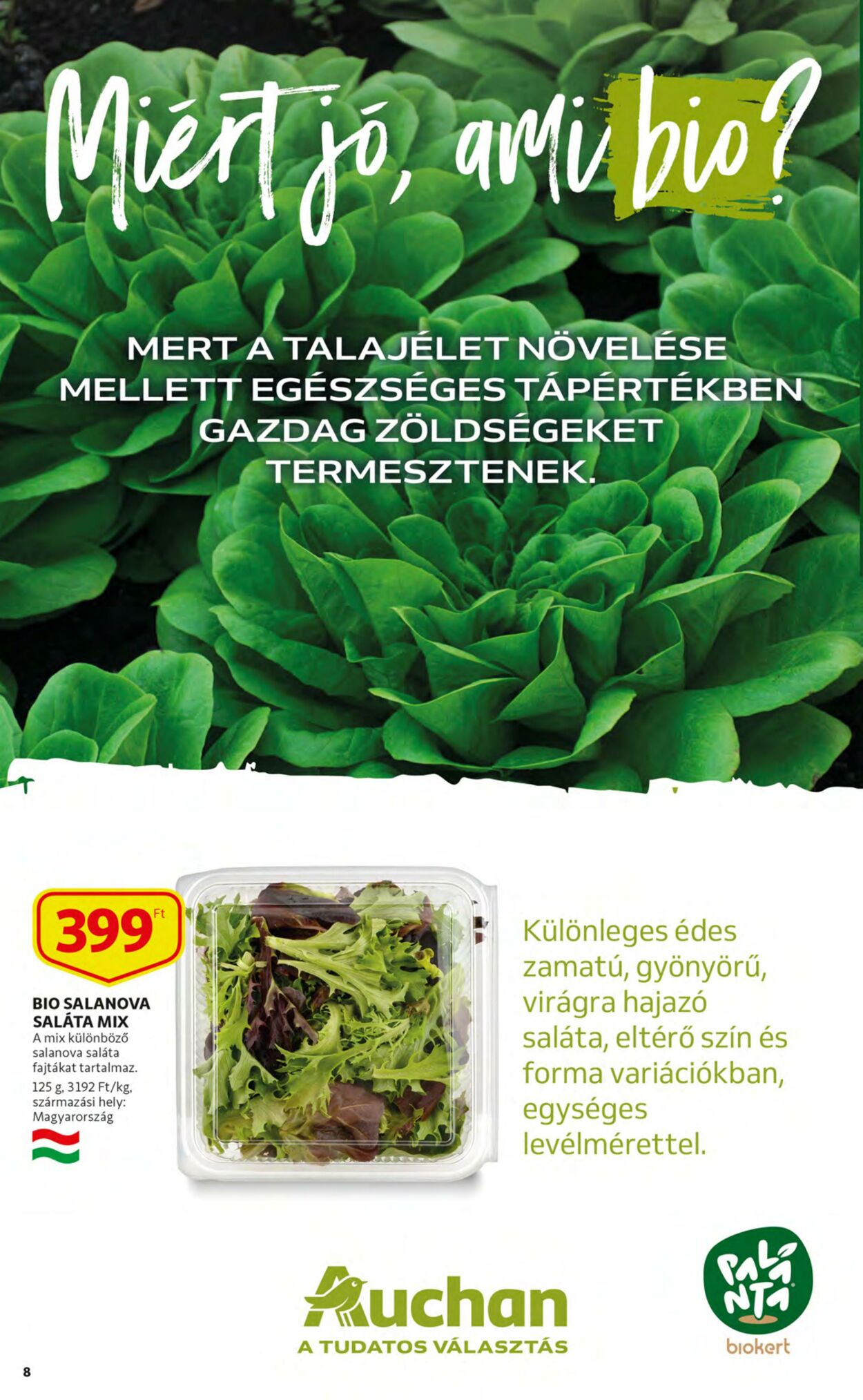 Flyer Auchan 27.10.2022 - 02.11.2022