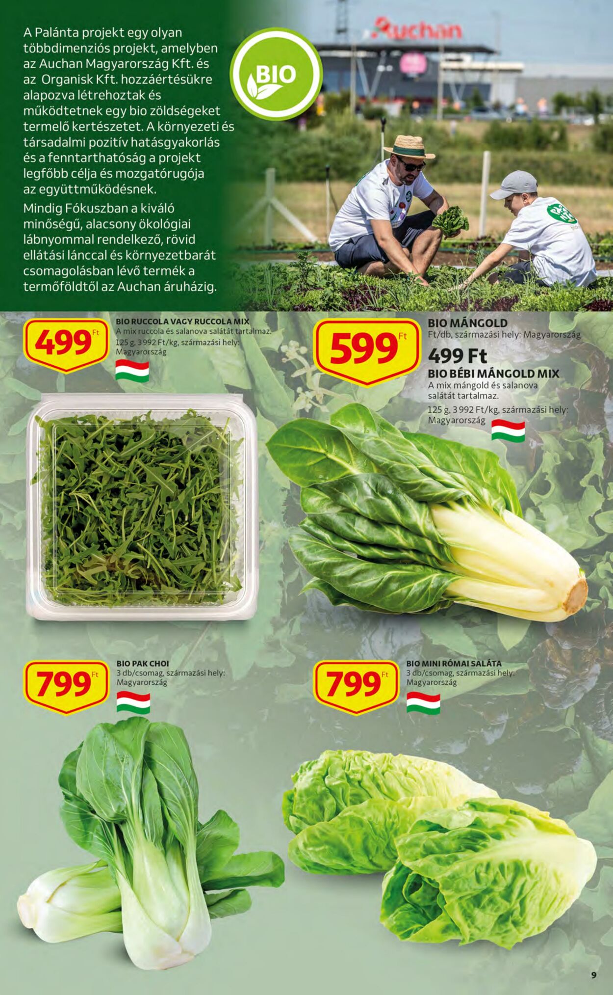 Flyer Auchan 27.10.2022 - 02.11.2022