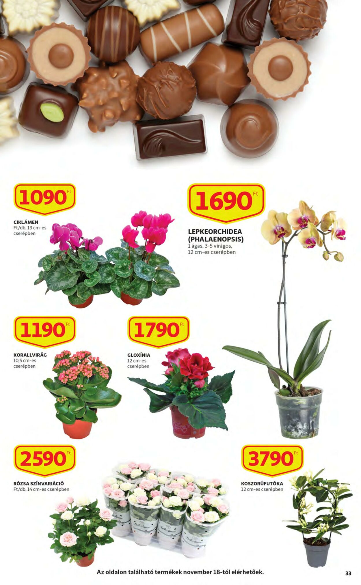 Flyer Auchan 17.11.2022 - 23.11.2022