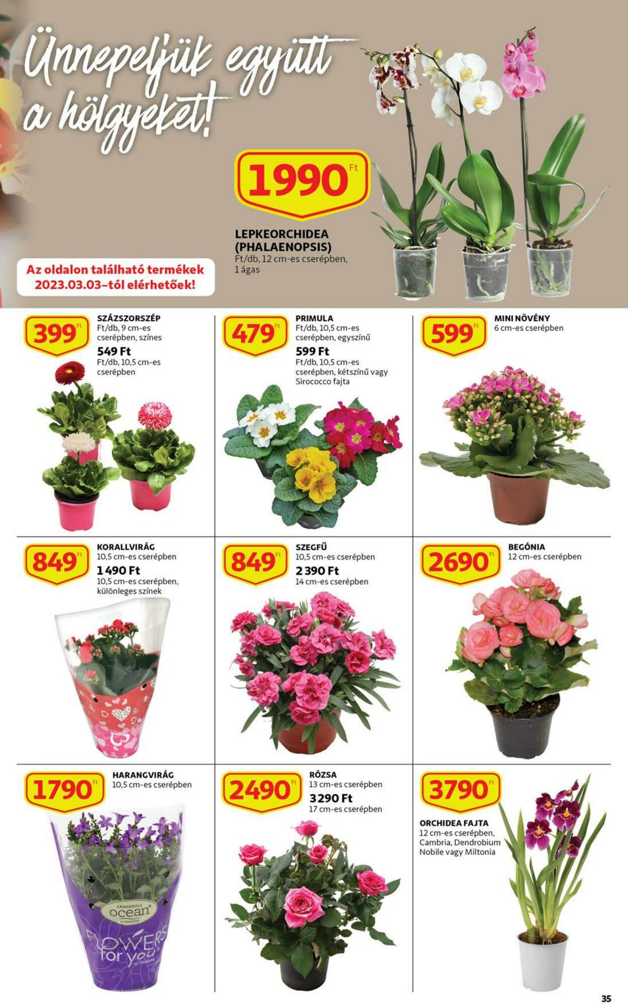 Flyer Auchan 02.03.2023 - 08.03.2023