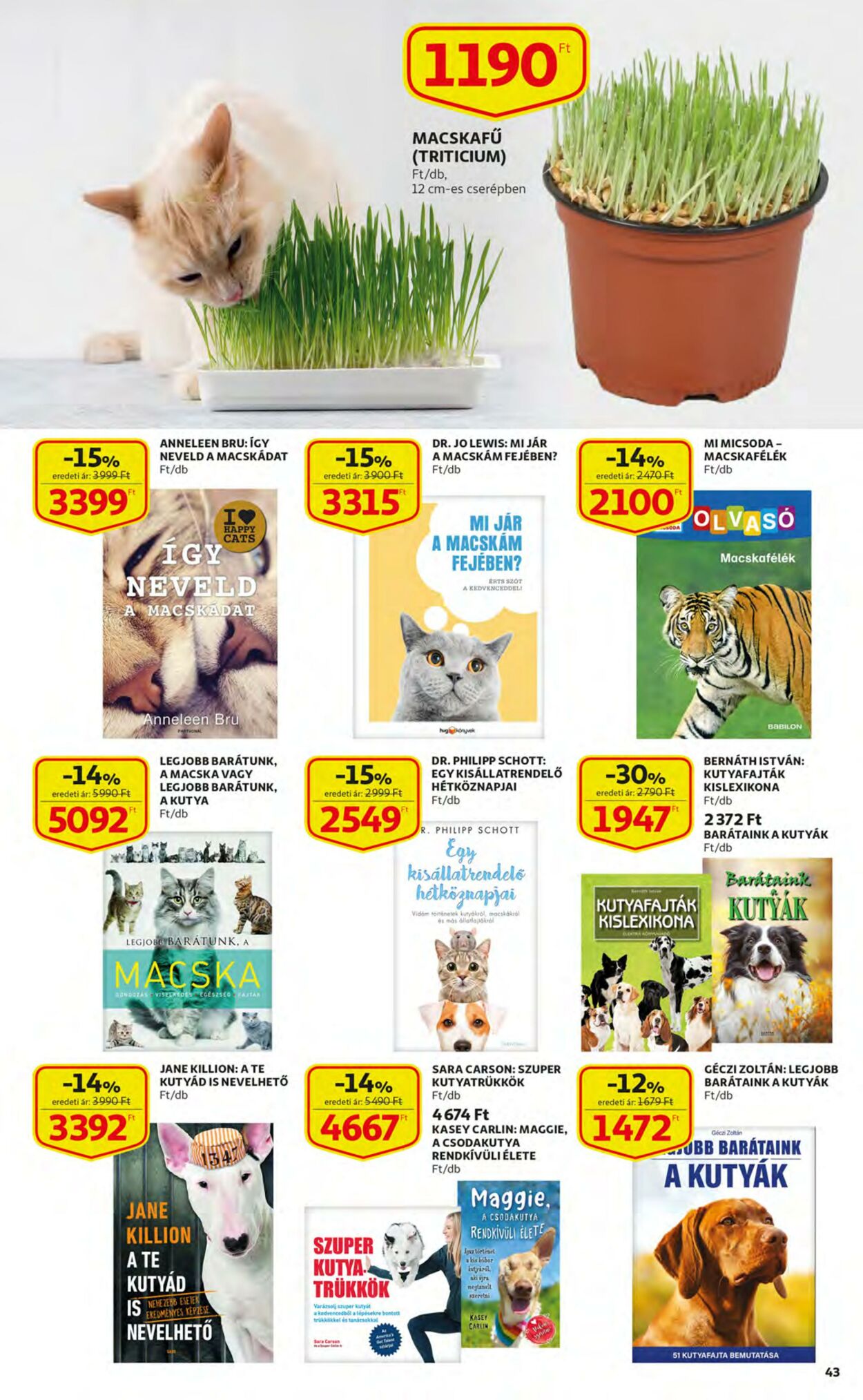 Flyer Auchan 23.03.2023 - 29.03.2023