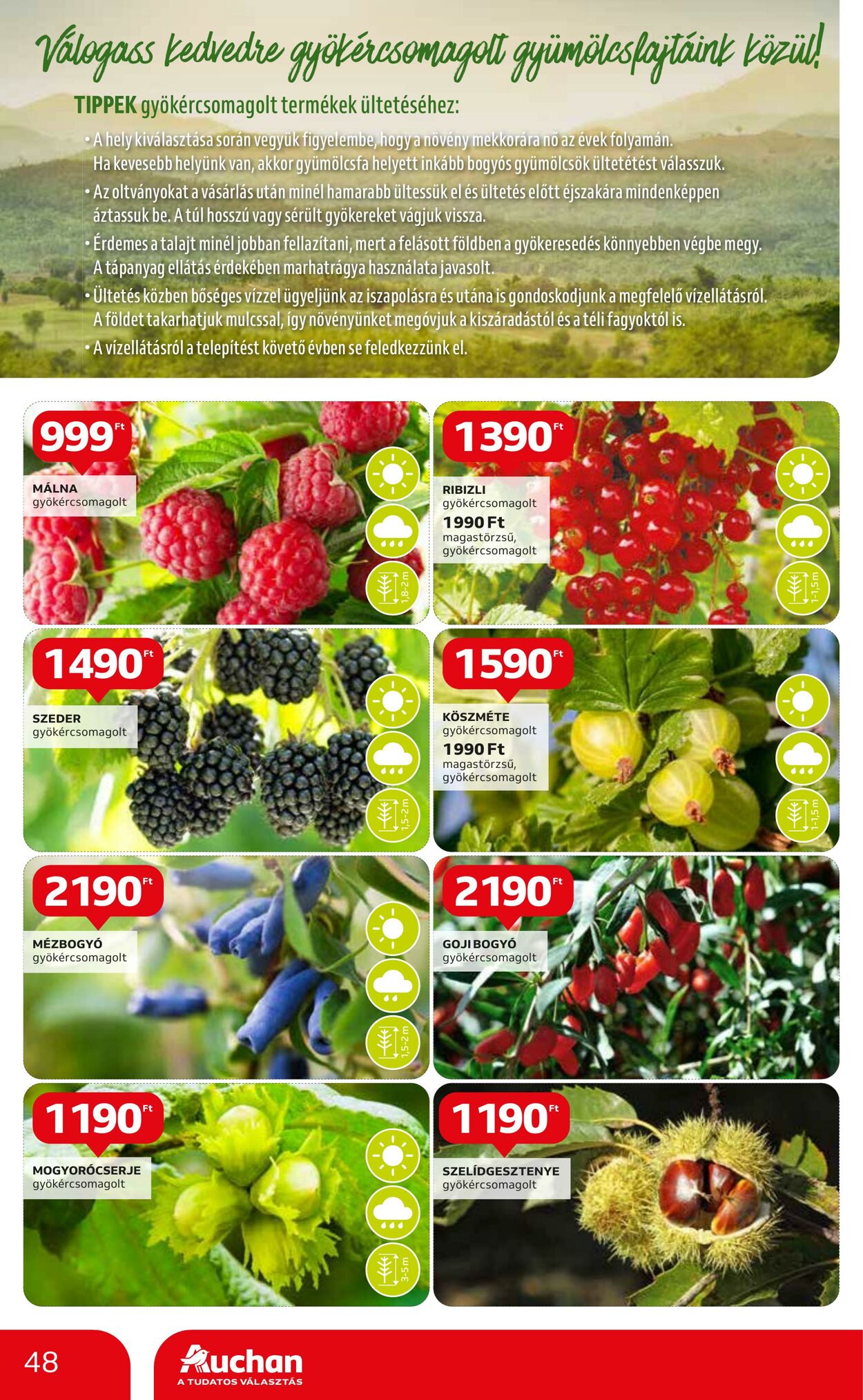 Flyer Auchan 19.10.2023 - 25.10.2023