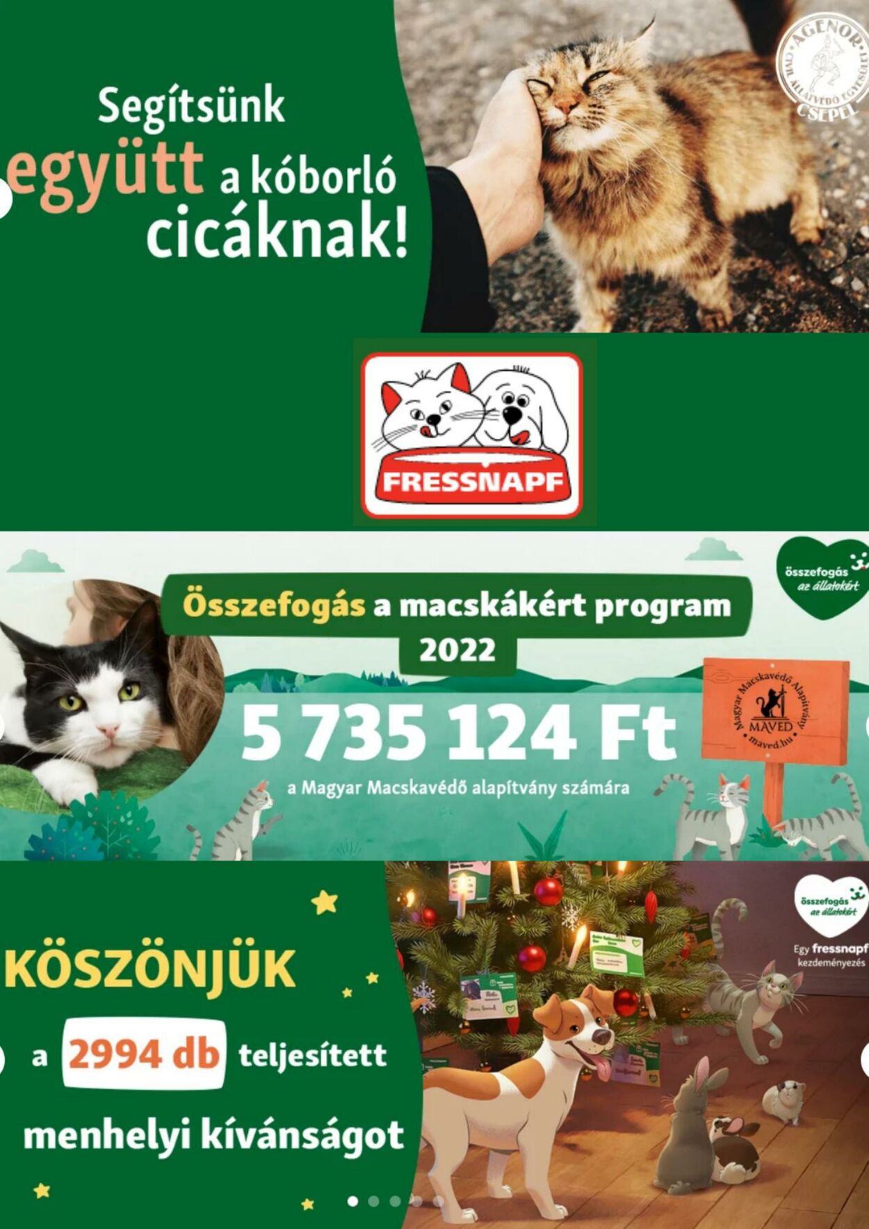 Flyer Fressnapf 30.12.2022 - 12.01.2023