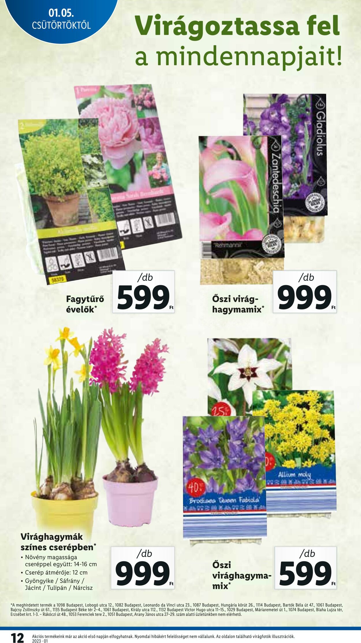 Flyer Lidl 05.01.2022 - 11.01.2023