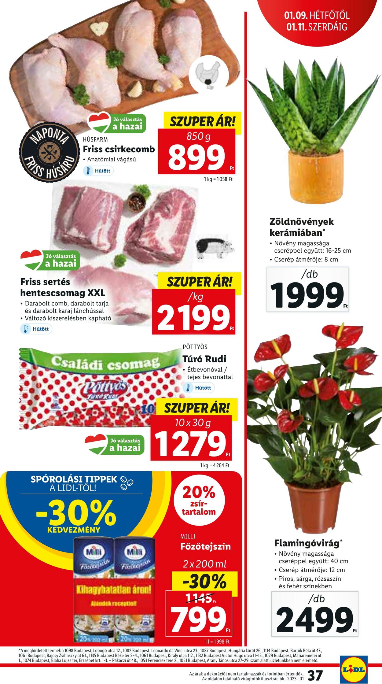 Flyer Lidl 05.01.2022 - 11.01.2023