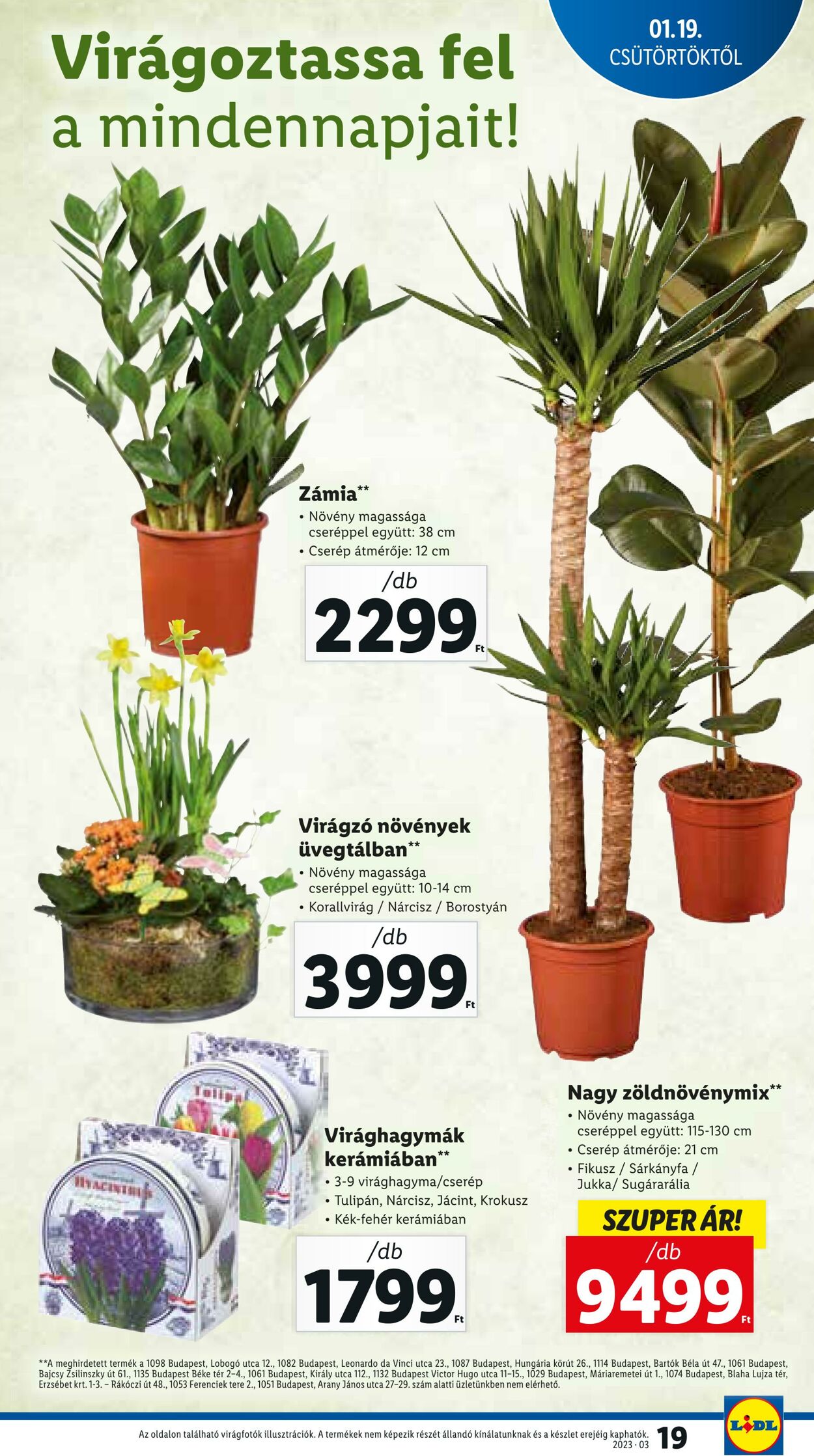 Flyer Lidl 19.01.2023 - 25.01.2023