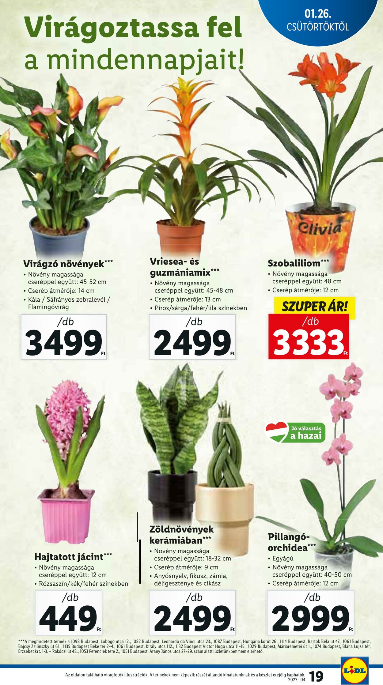 Flyer Lidl 26.01.2023 - 01.02.2023