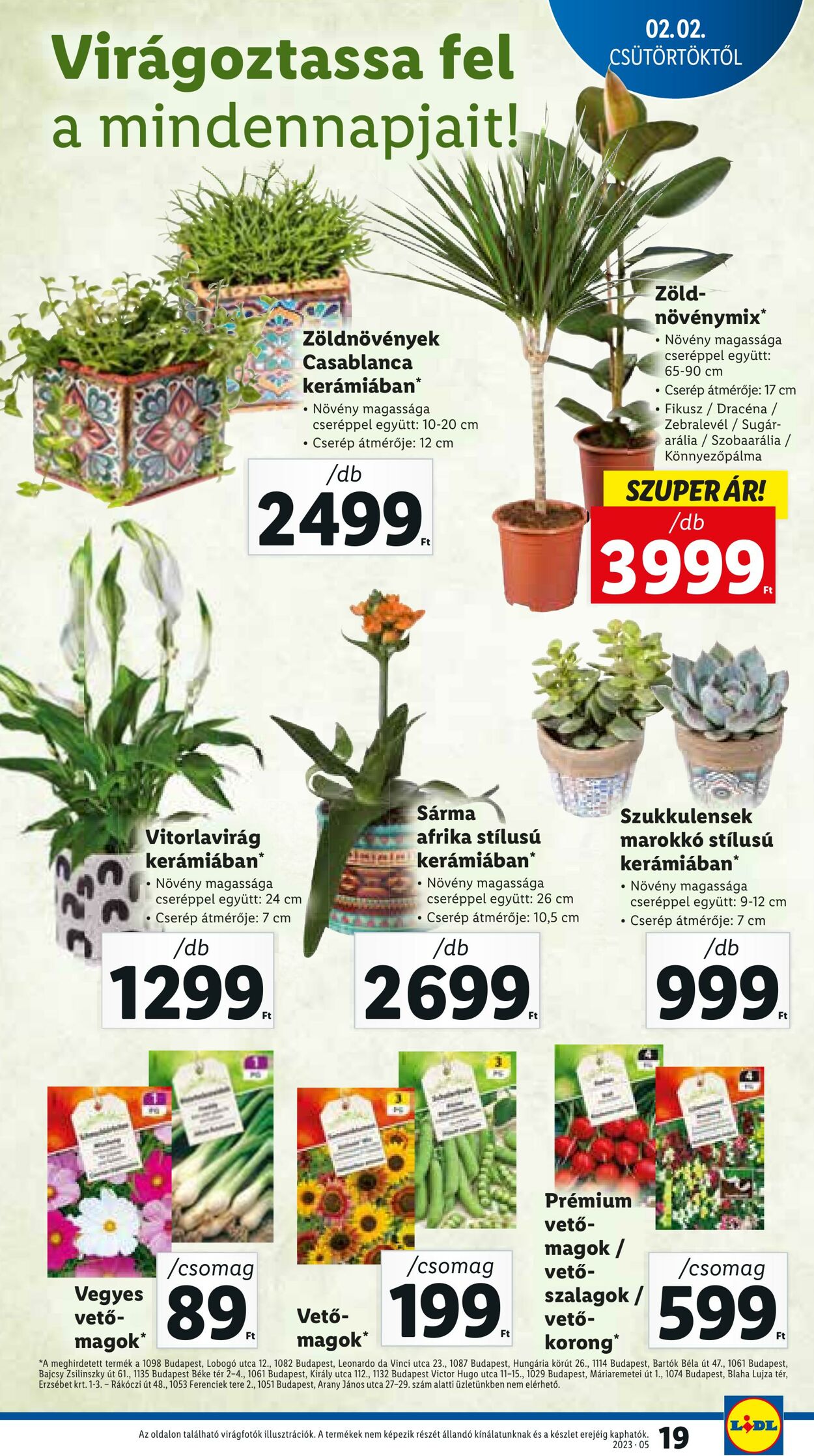 Flyer Lidl 02.02.2023 - 08.02.2023