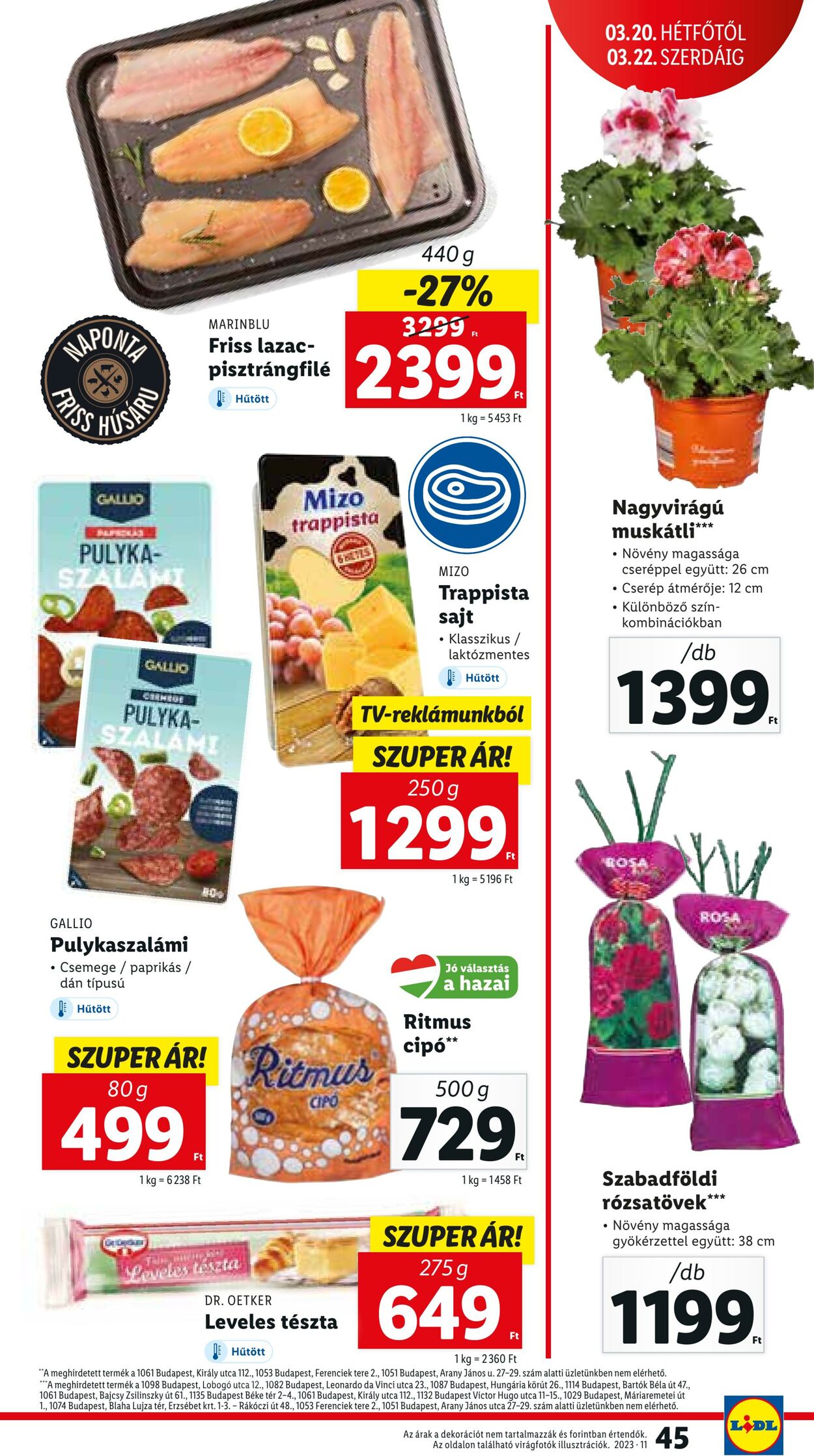 Flyer Lidl 16.03.2023 - 22.03.2023