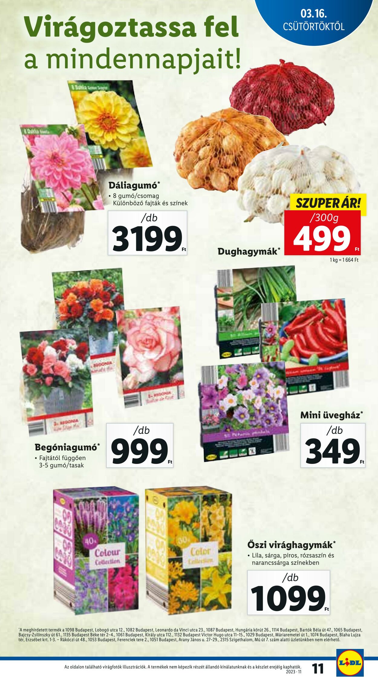 Flyer Lidl 16.03.2023 - 22.03.2023