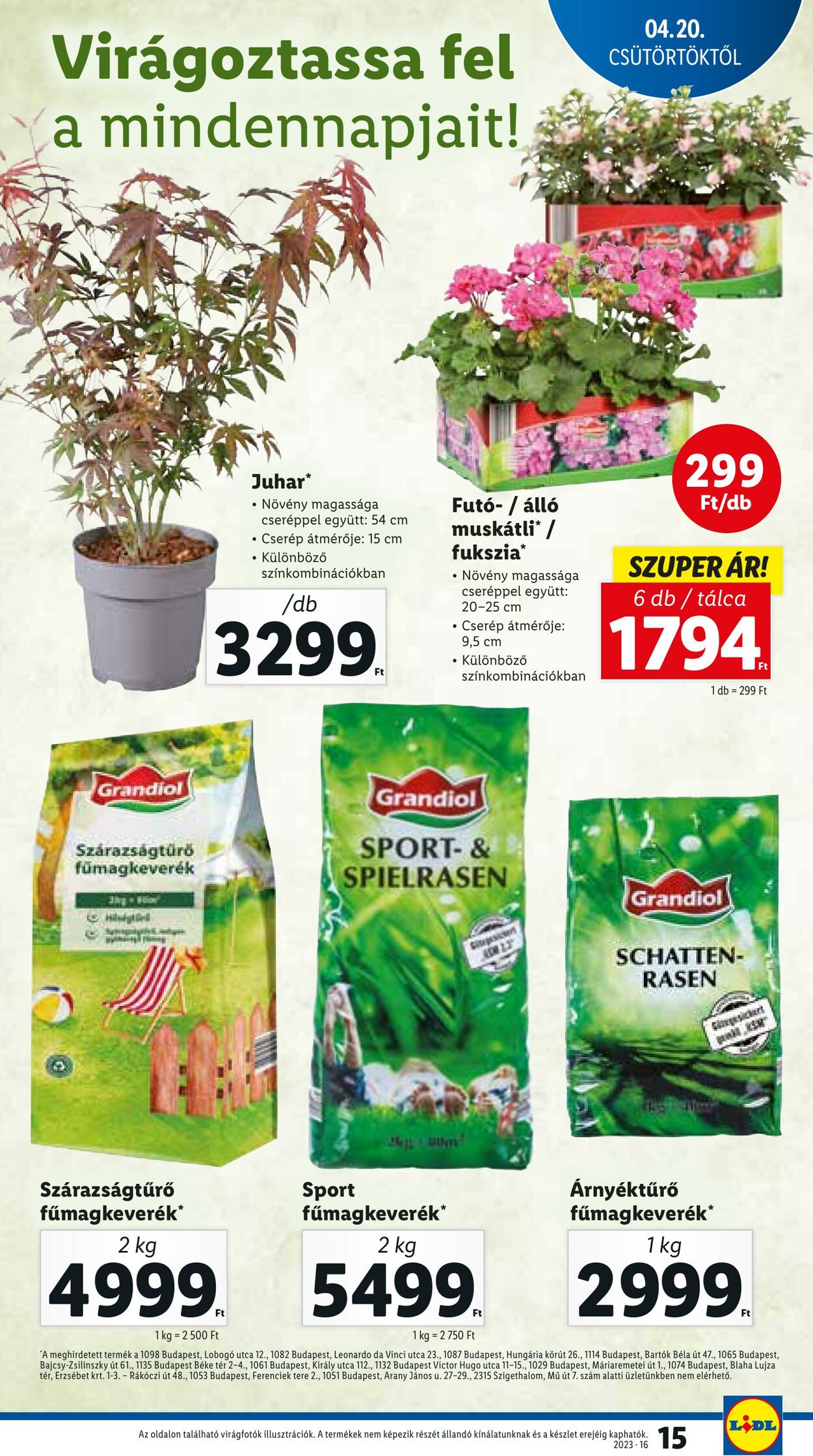 Flyer Lidl 20.04.2023 - 26.04.2023