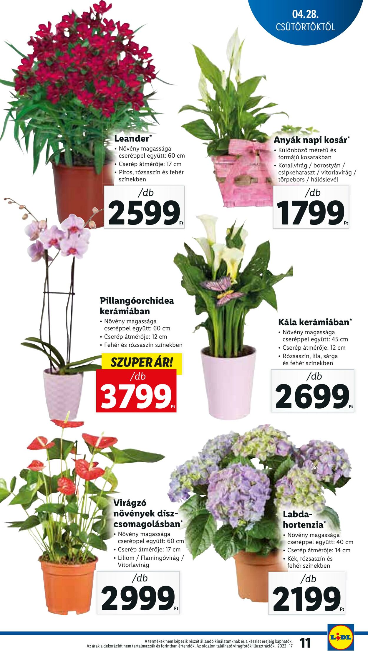 Flyer Lidl 28.04.2022 - 04.05.2022