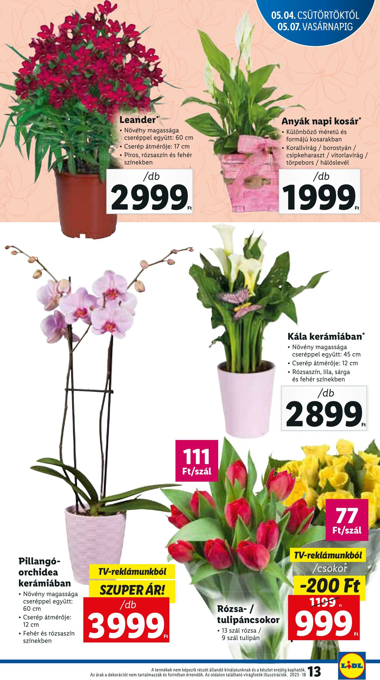 Flyer Lidl 04.05.2023 - 10.05.2023