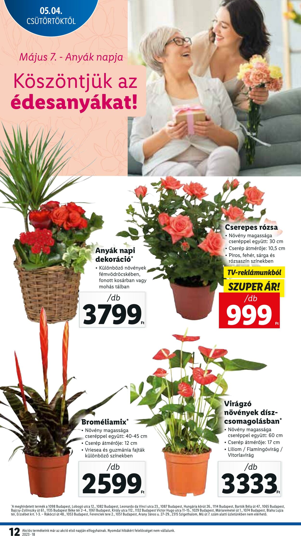 Flyer Lidl 04.05.2023 - 10.05.2023