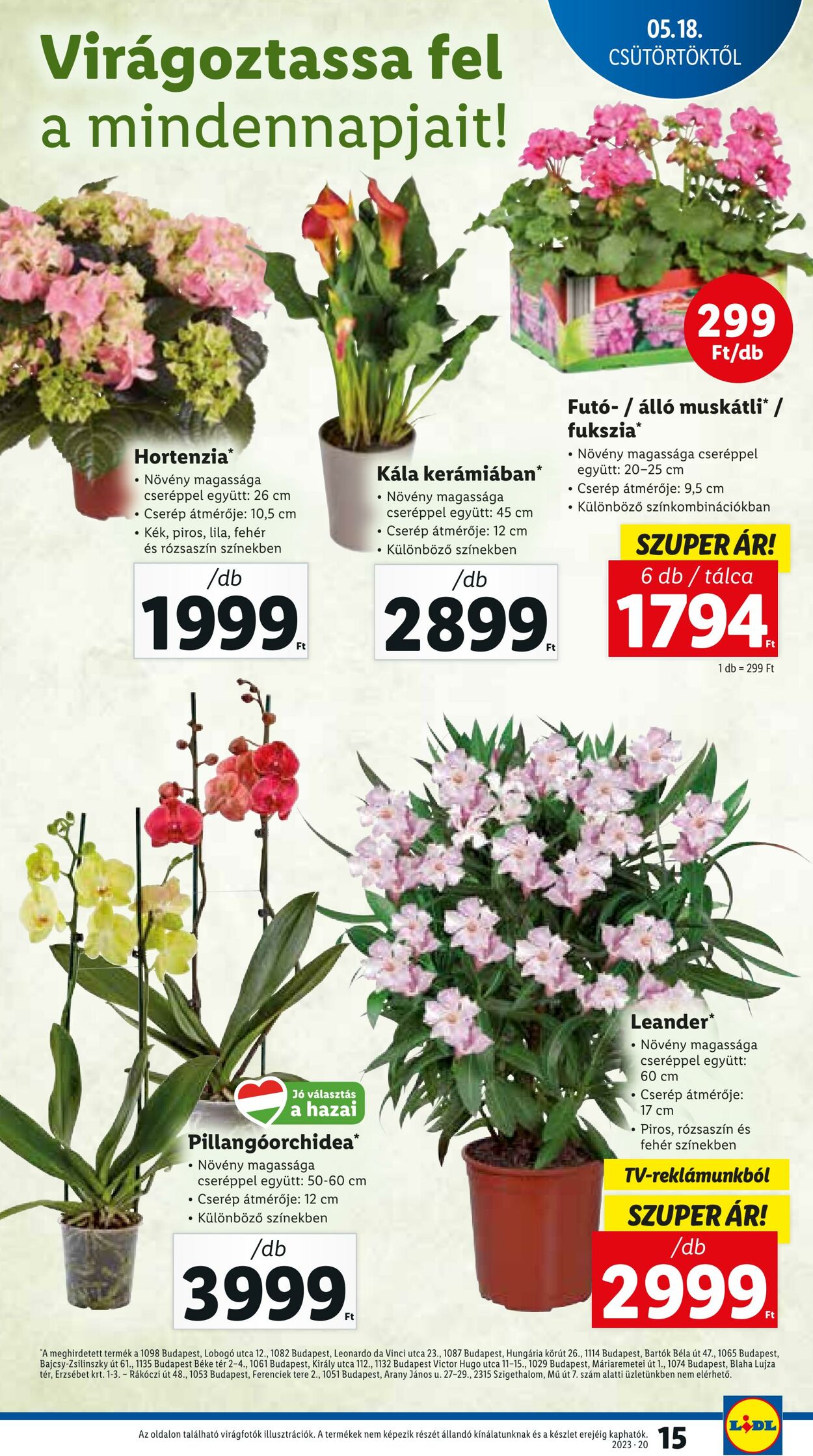 Flyer Lidl 18.05.2023 - 24.05.2023