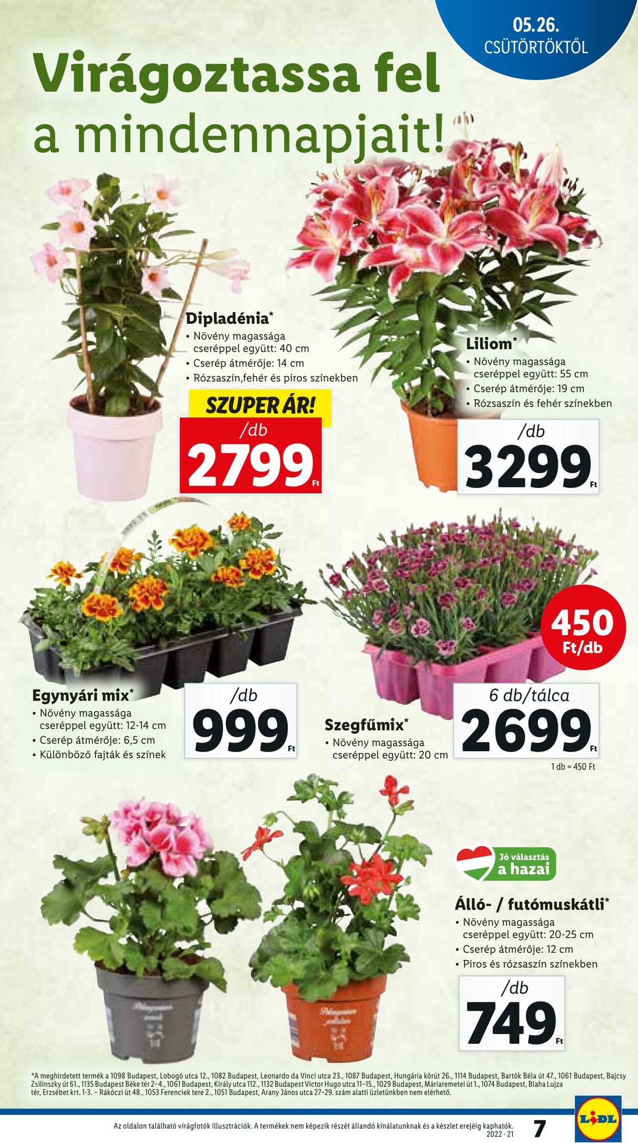 Flyer Lidl 26.05.2022 - 01.06.2022