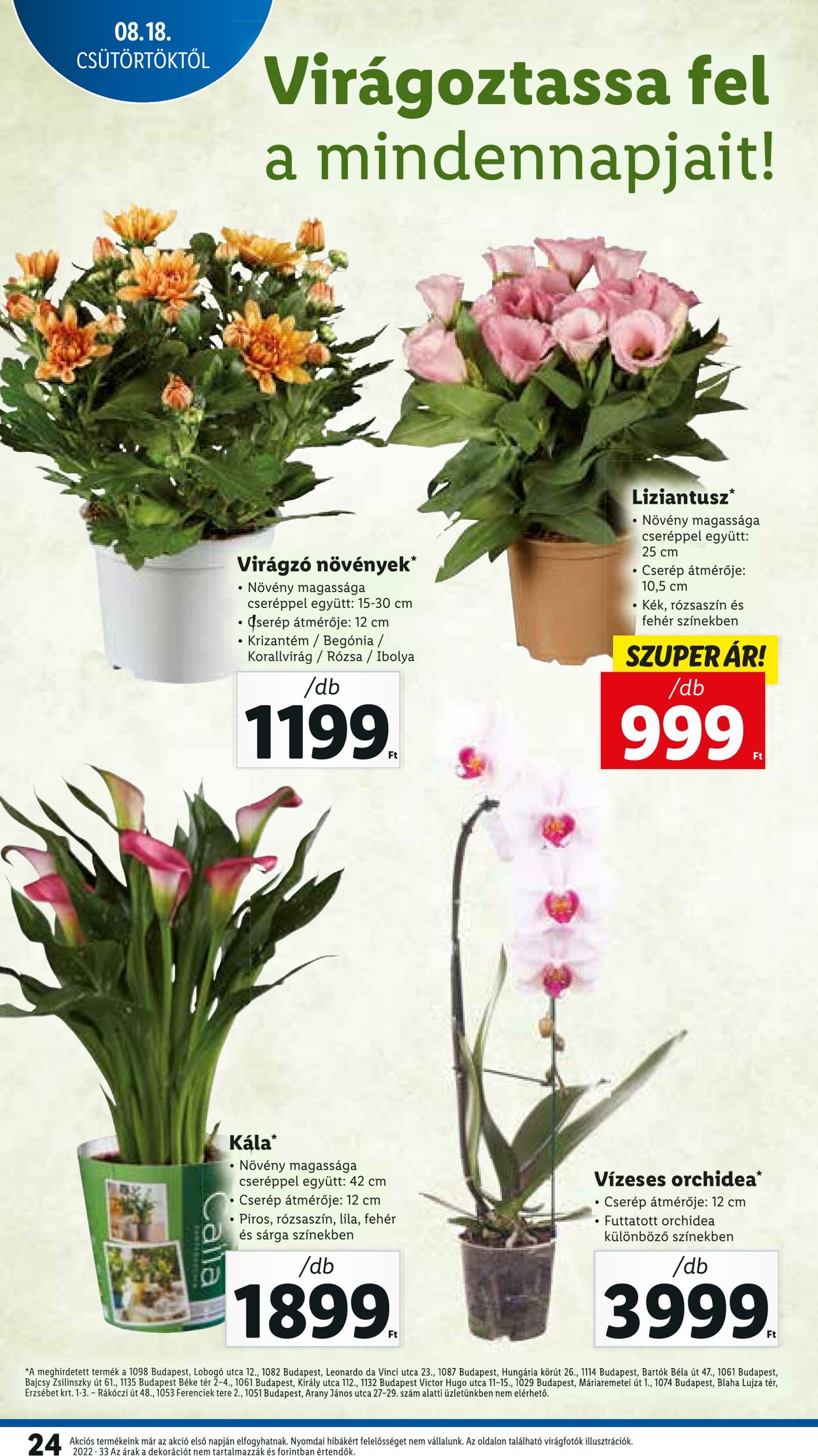 Flyer Lidl 18.08.2022 - 24.08.2022