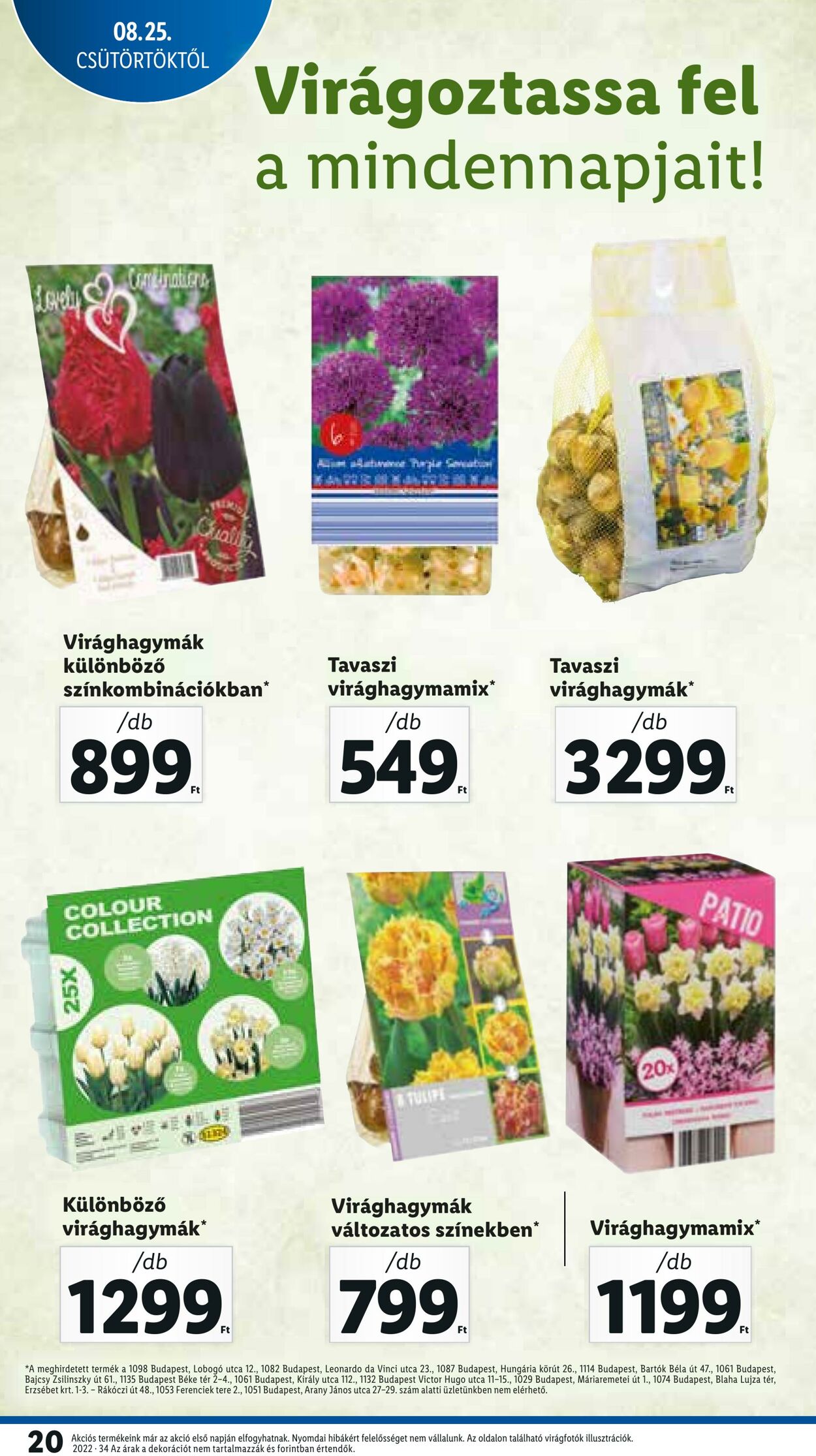 Flyer Lidl 25.08.2022 - 31.08.2022