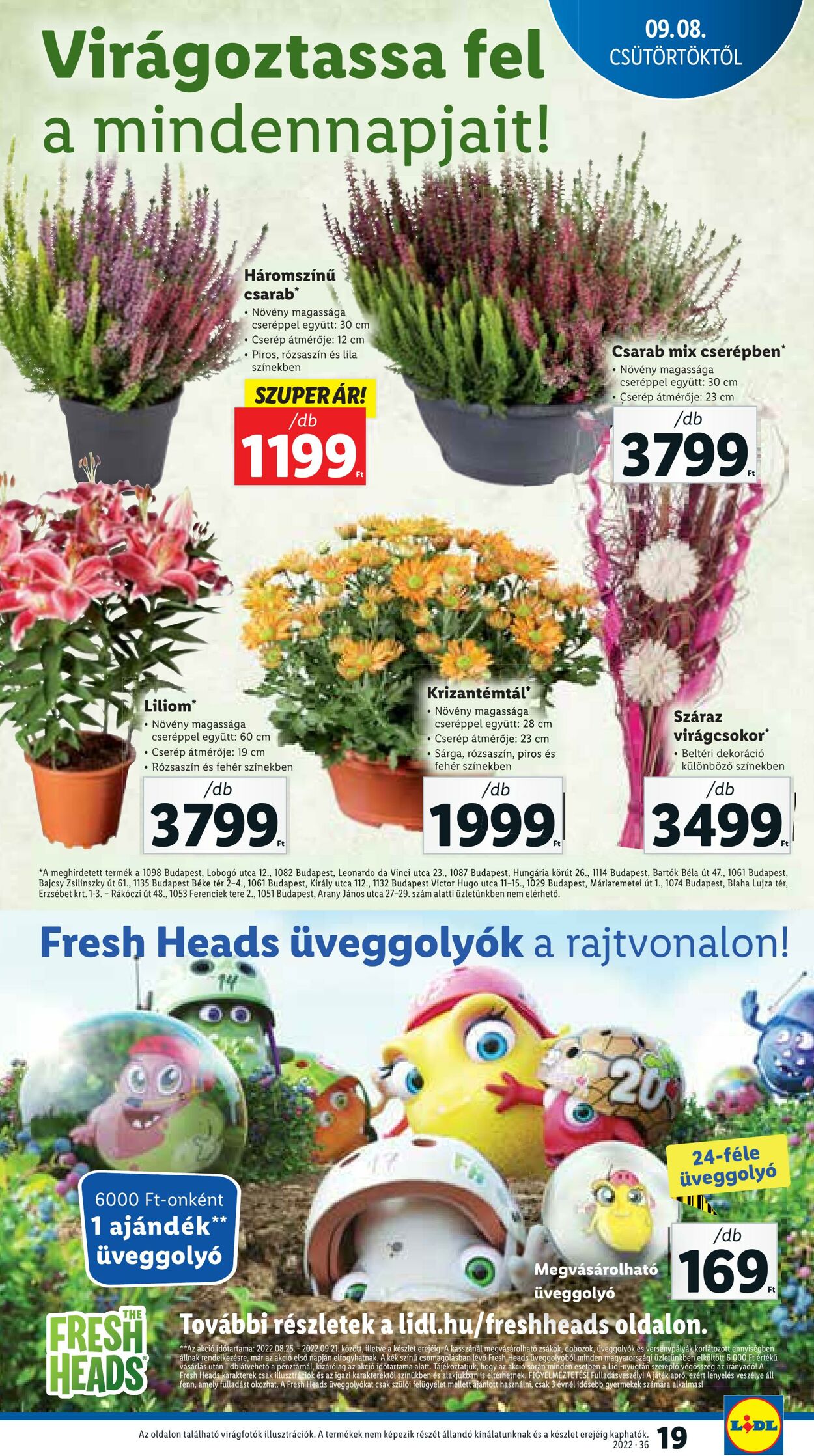 Flyer Lidl 08.09.2022 - 14.09.2022