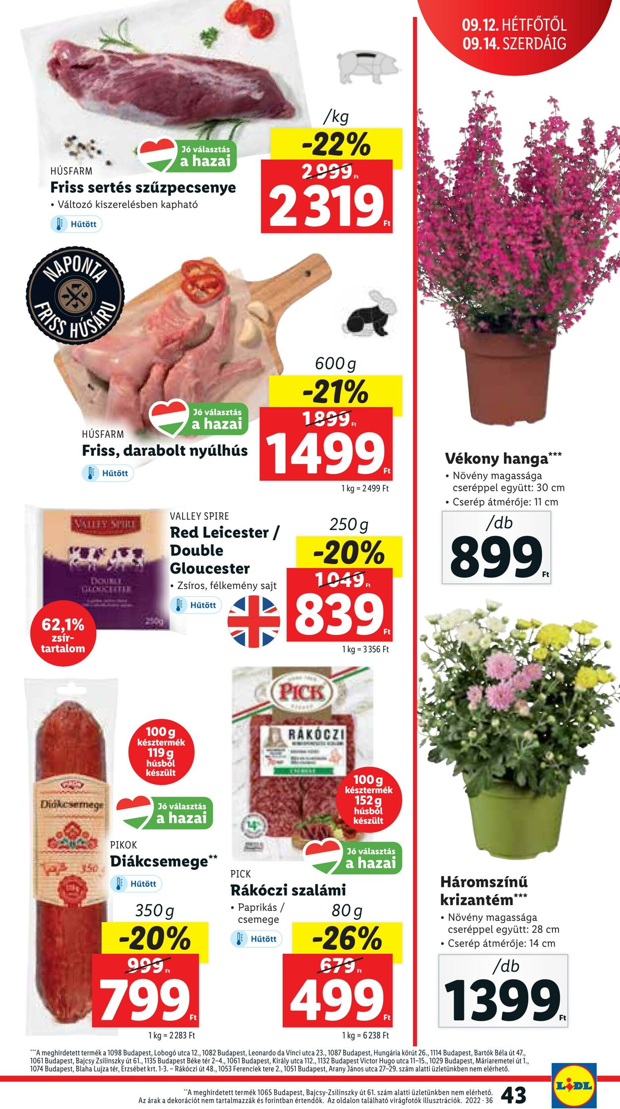 Flyer Lidl 08.09.2022 - 14.09.2022