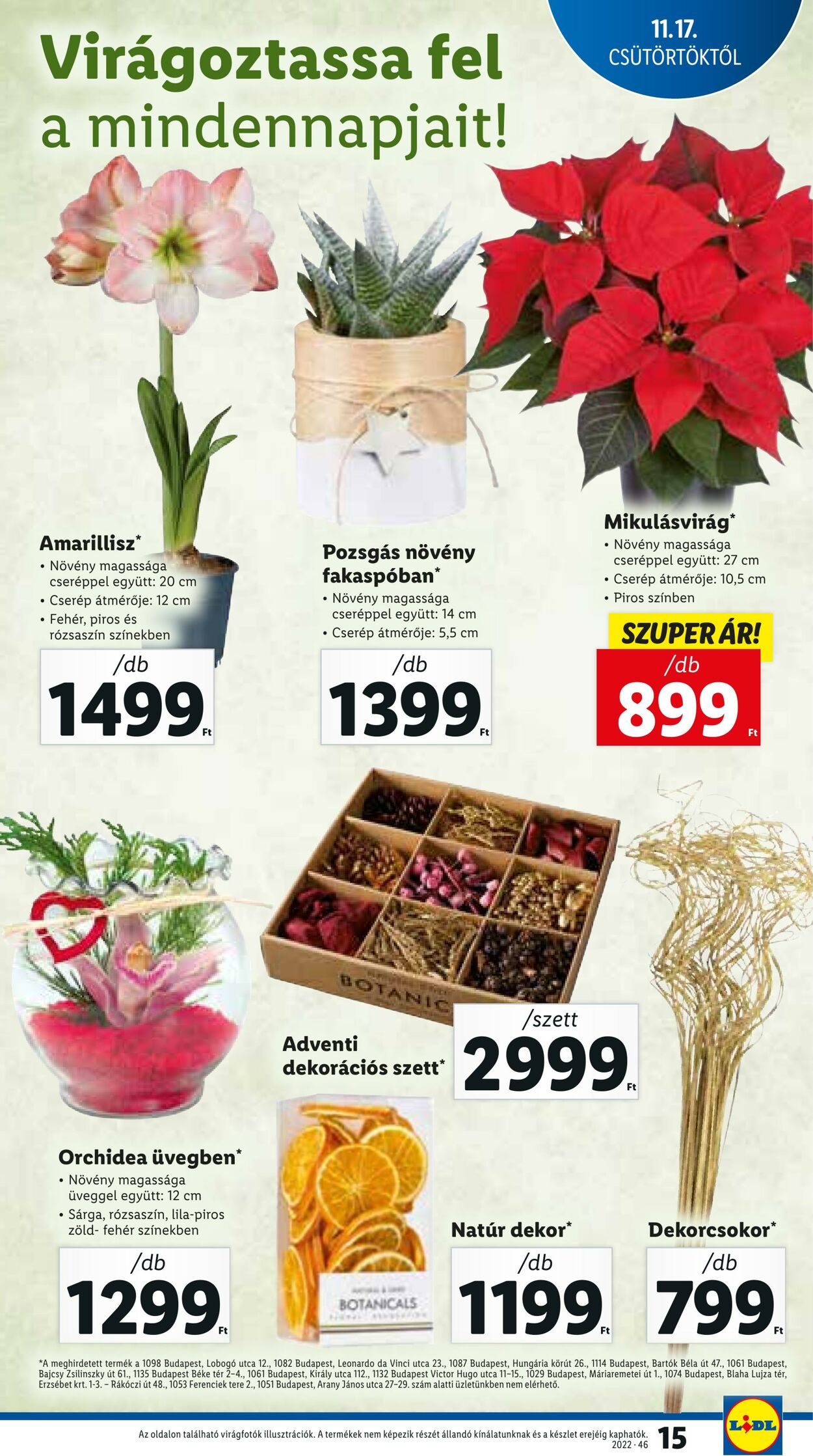 Flyer Lidl 17.11.2022 - 23.11.2022