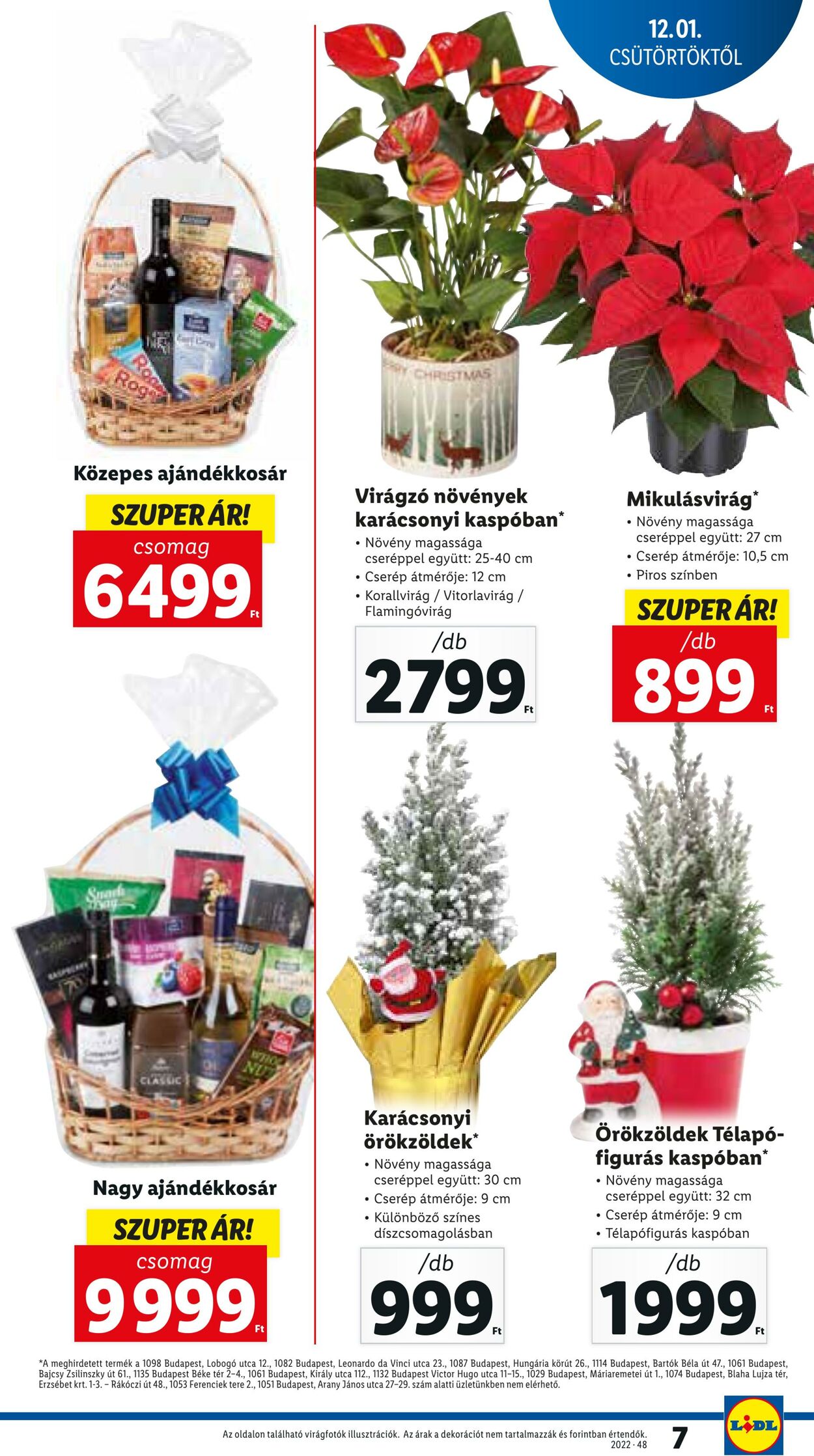 Flyer Lidl 01.12.2022 - 07.12.2022