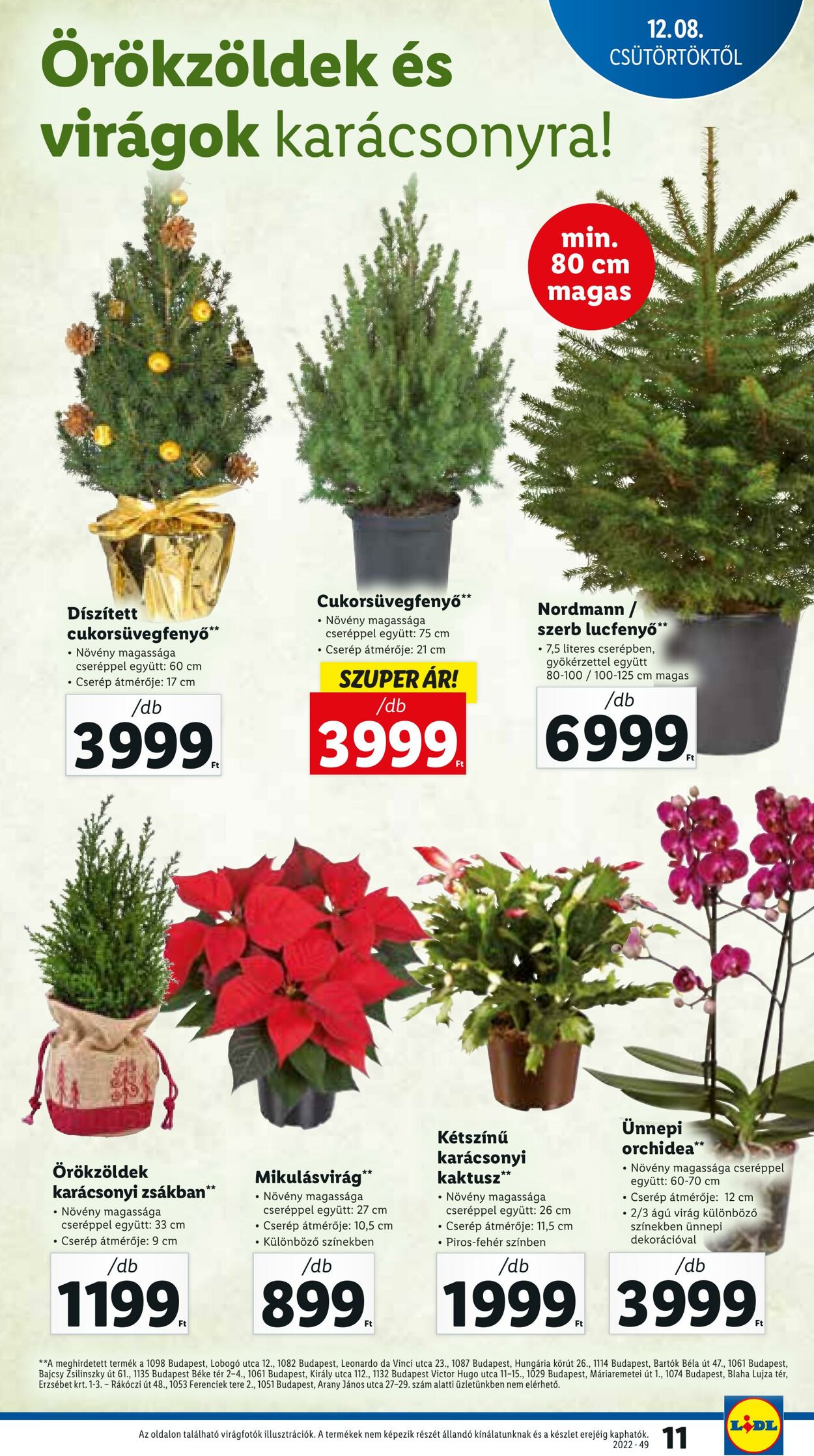 Flyer Lidl 08.12.2022 - 14.12.2022