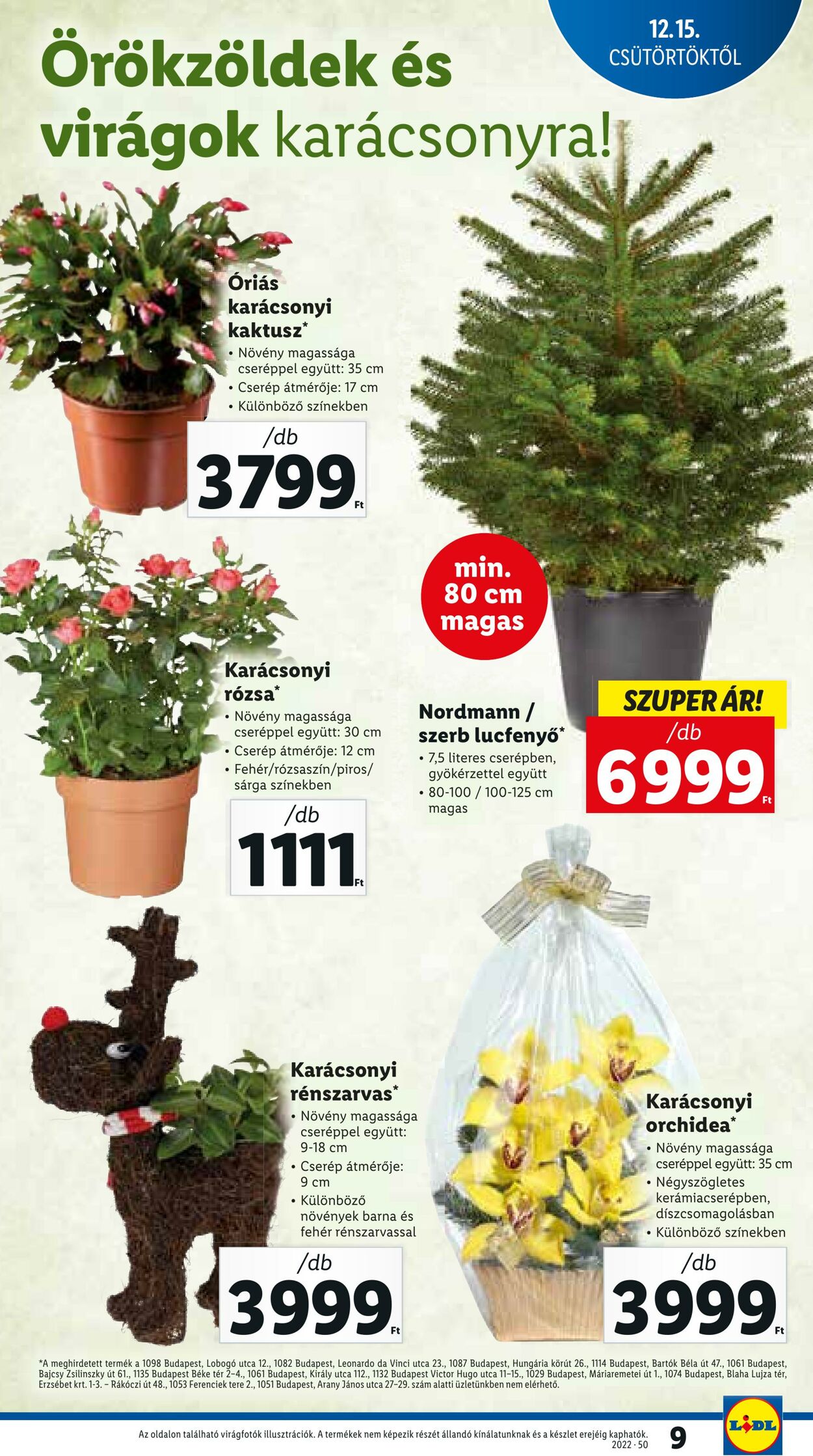 Flyer Lidl 15.12.2022 - 21.12.2022